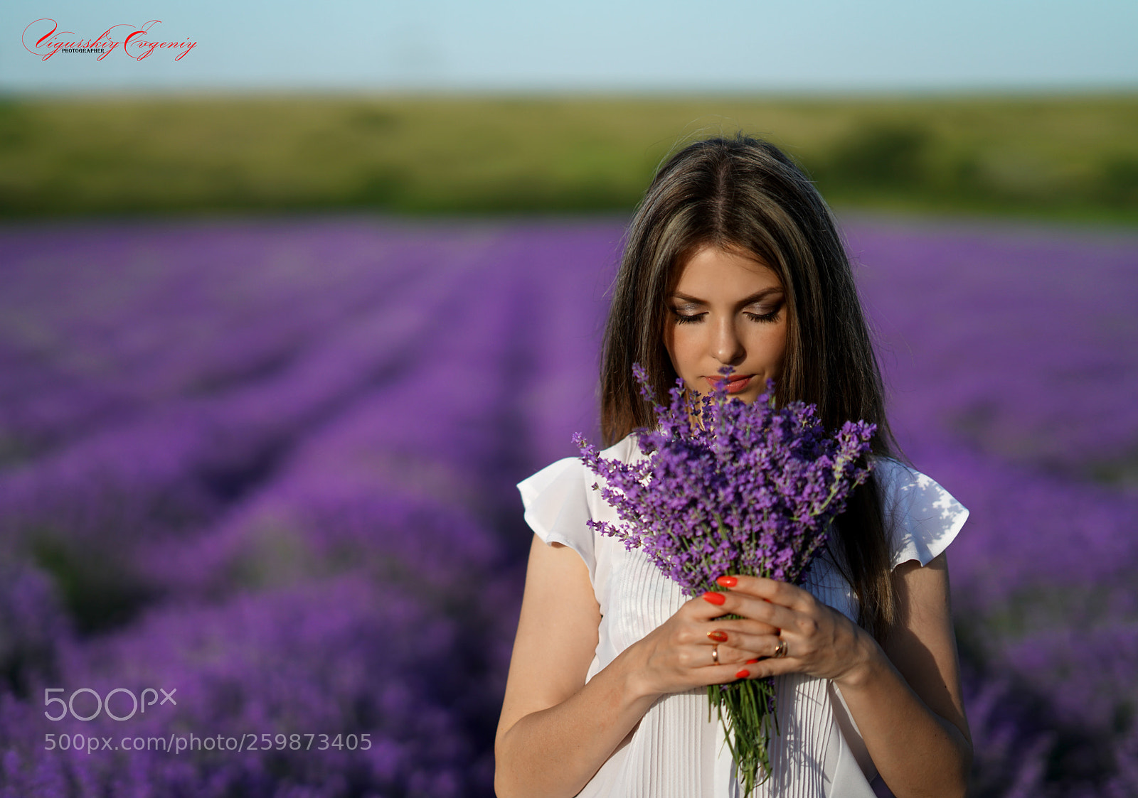 Sony a7R II sample photo. Untitled photography