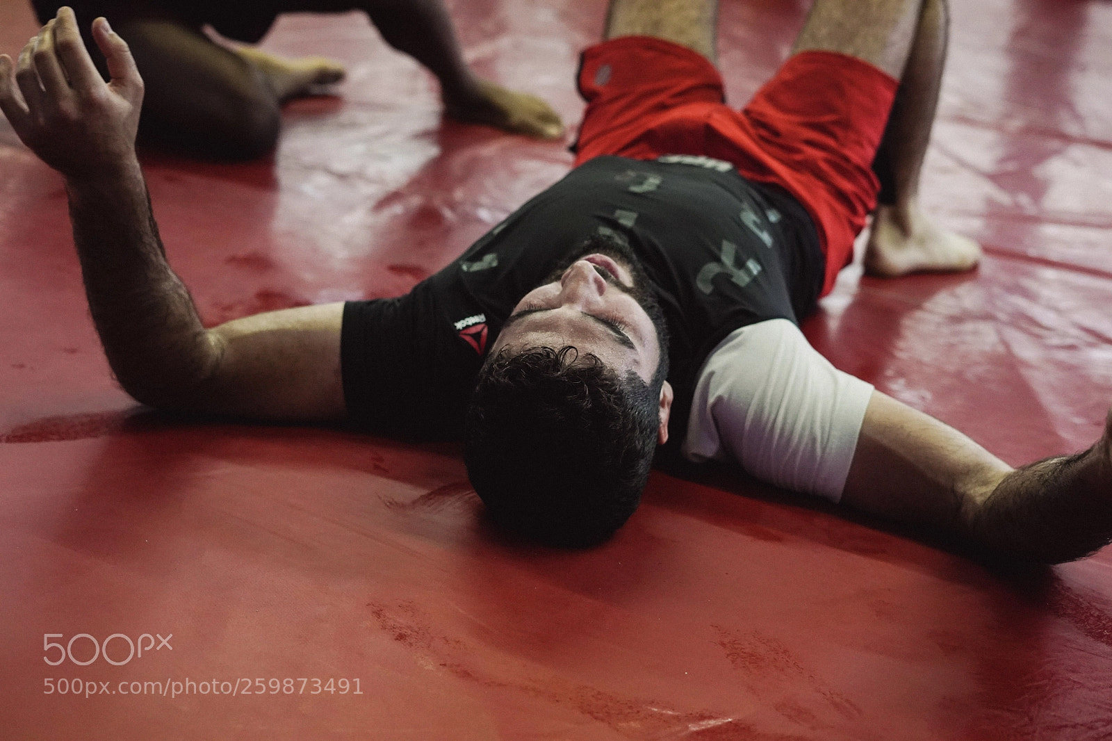 Sony a7 III sample photo. Aiemann at rest photography