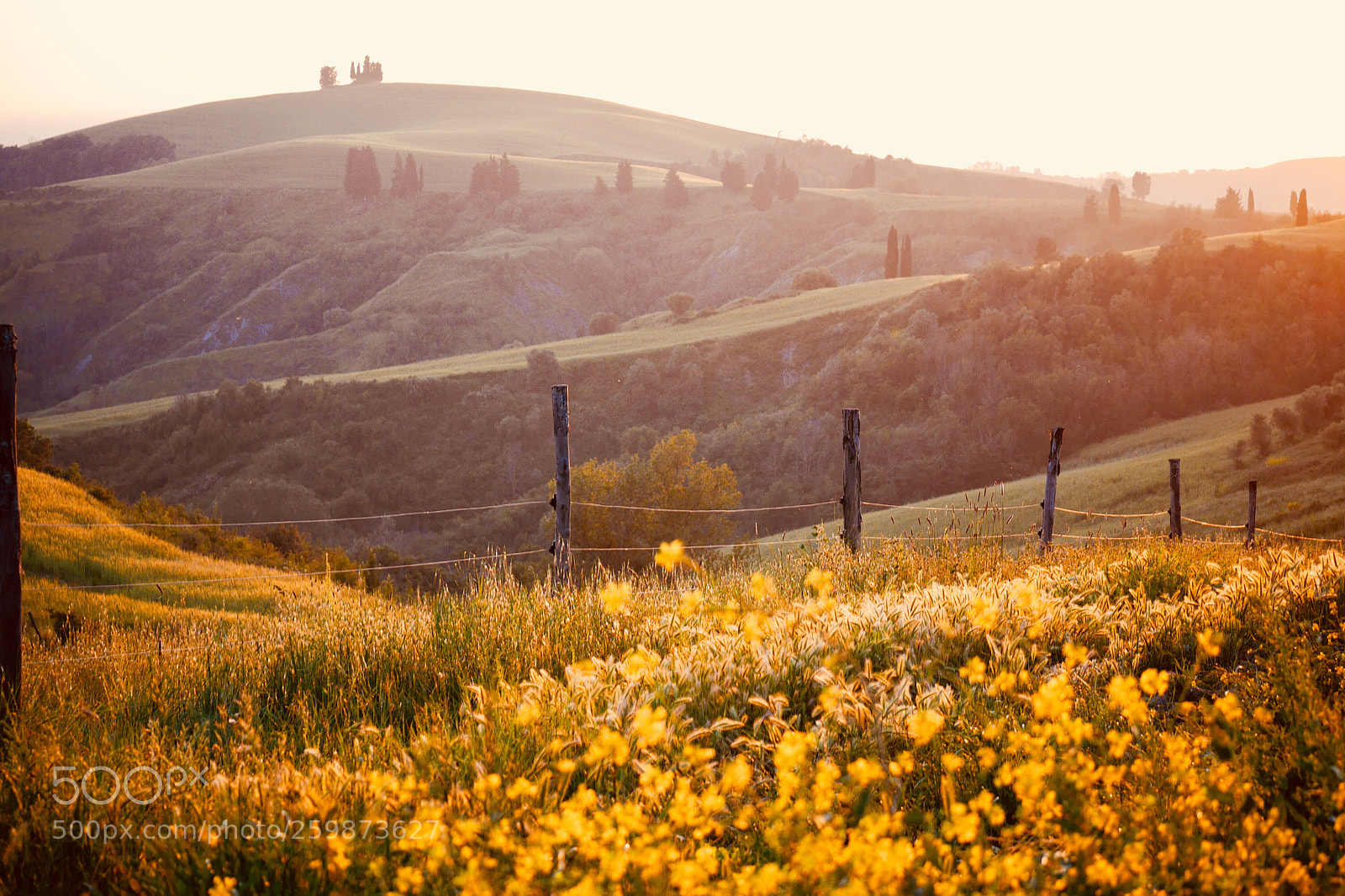 Panasonic Lumix DMC-G6 sample photo. Rural tuscany  photography