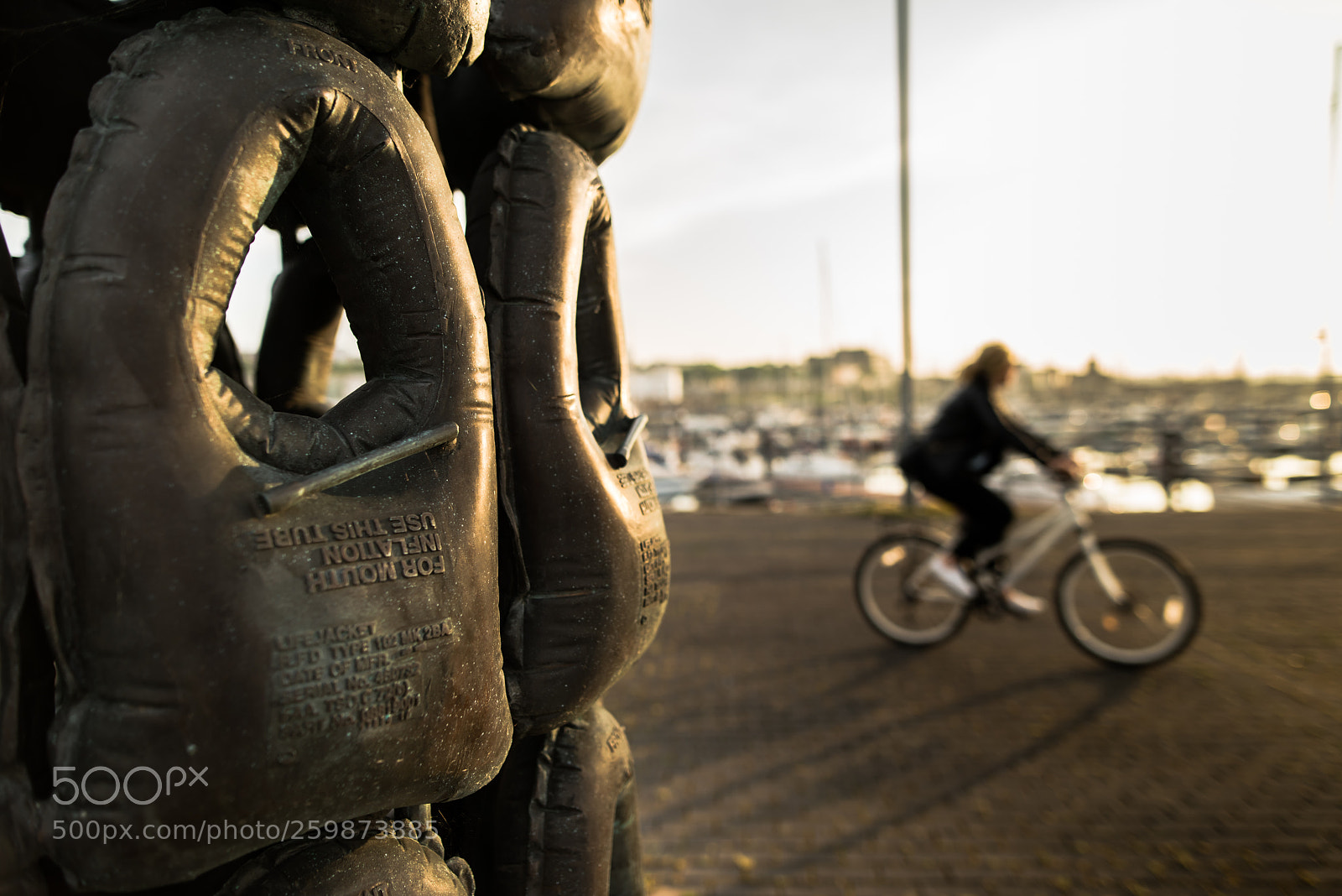 Nikon D810 sample photo. Dublin bay's hobbers monument photography