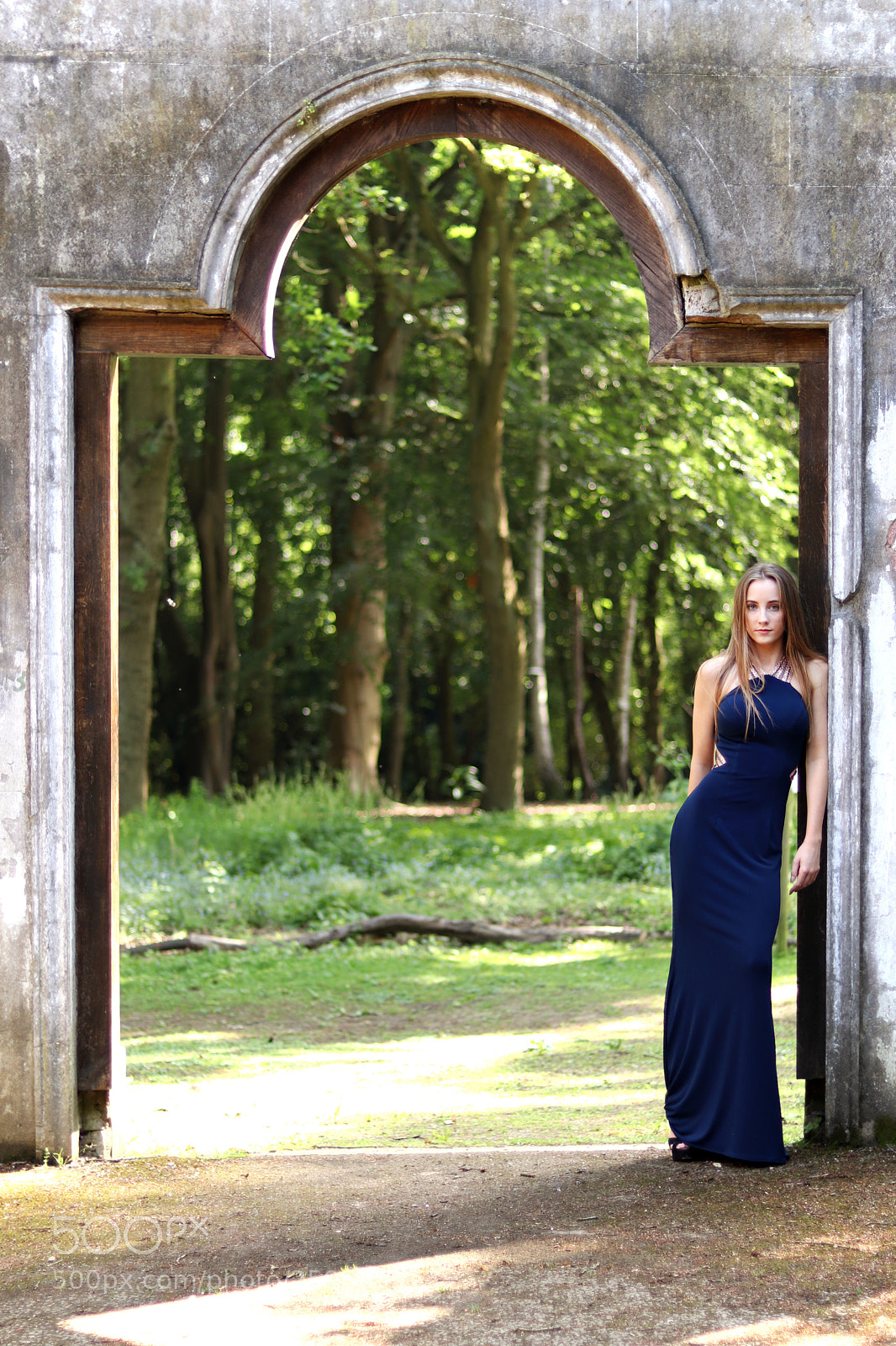 Canon EOS 200D (EOS Rebel SL2 / EOS Kiss X9) sample photo. Beauty in the woods photography