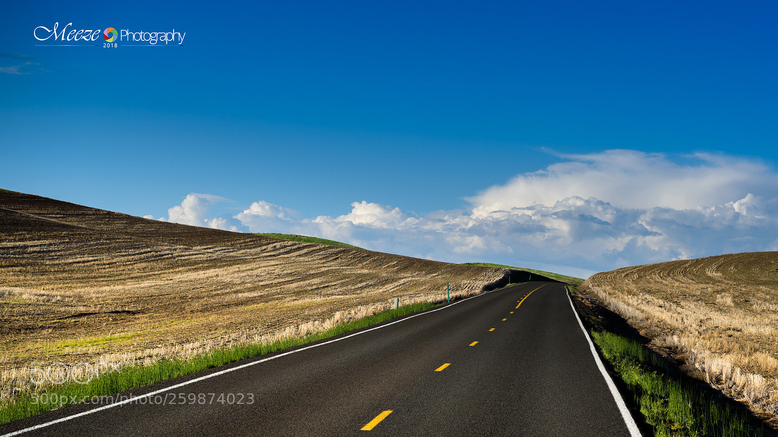 Nikon D750 sample photo. Road to success photography