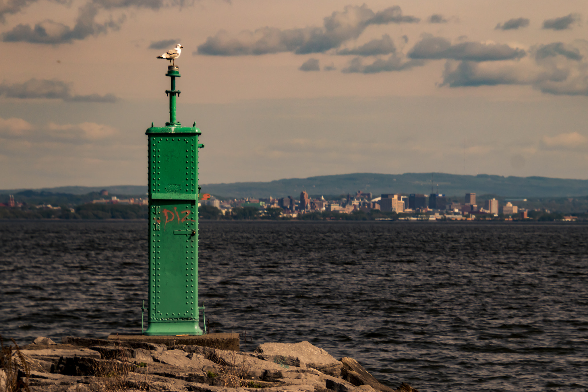Canon EOS 800D (EOS Rebel T7i / EOS Kiss X9i) sample photo. Seagull watching over the city photography