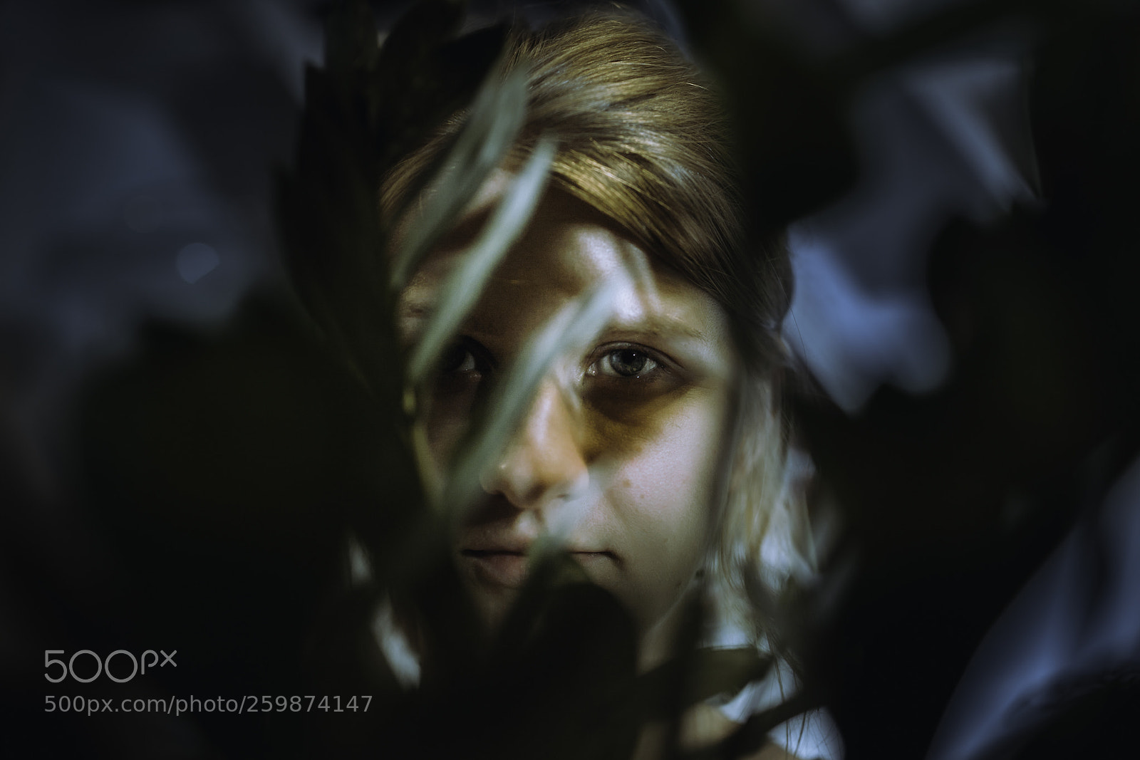 Canon EOS 5D sample photo. Shadows photography