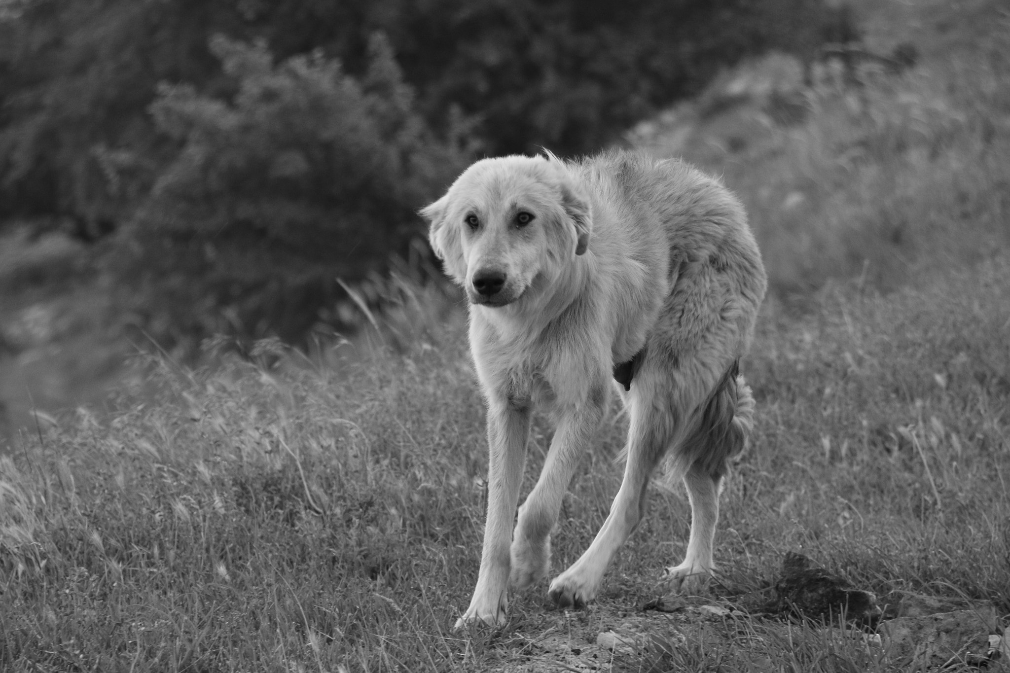 Canon EOS 70D sample photo. Sad photography