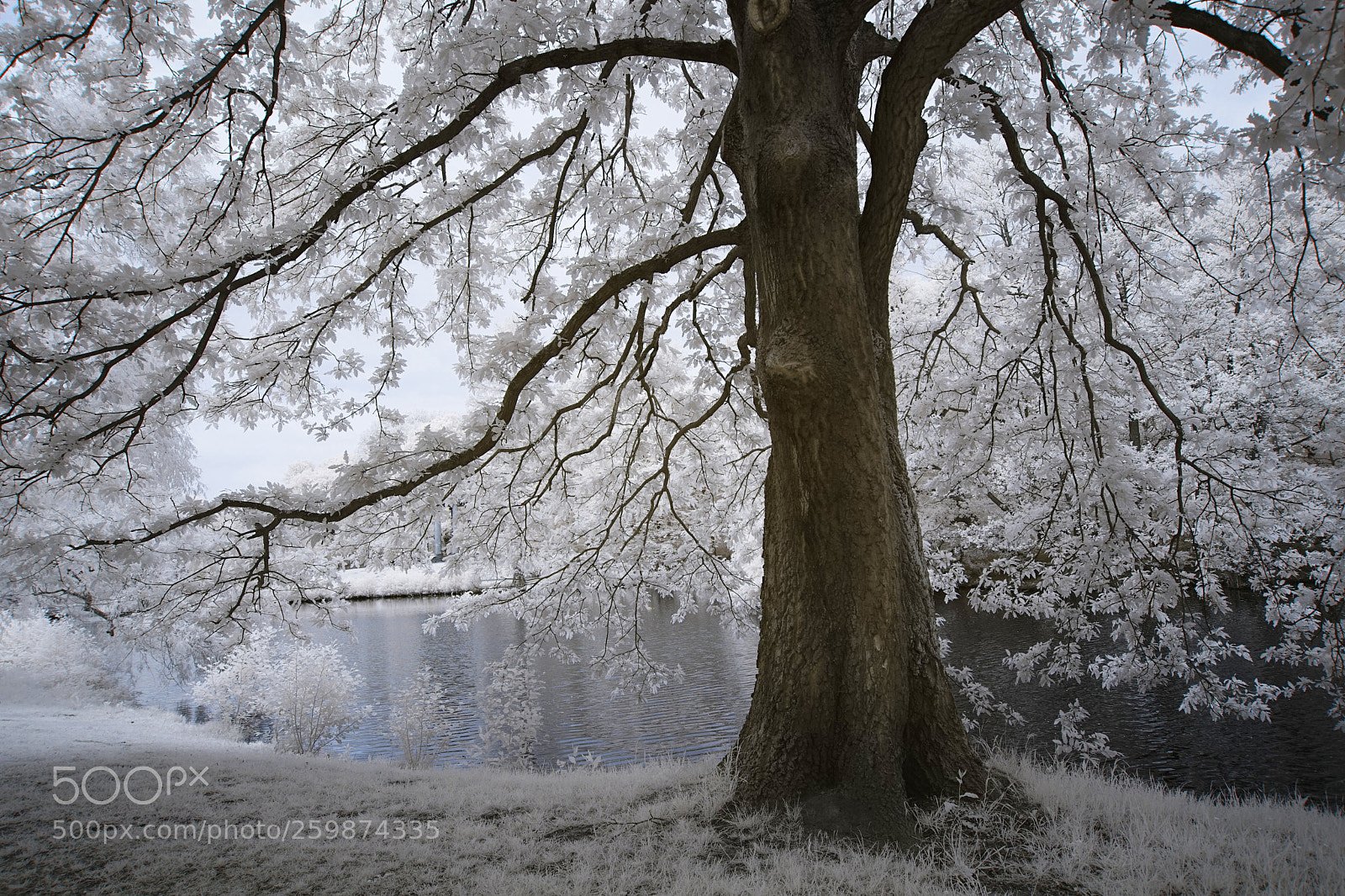 Sony a7 sample photo. :) photography