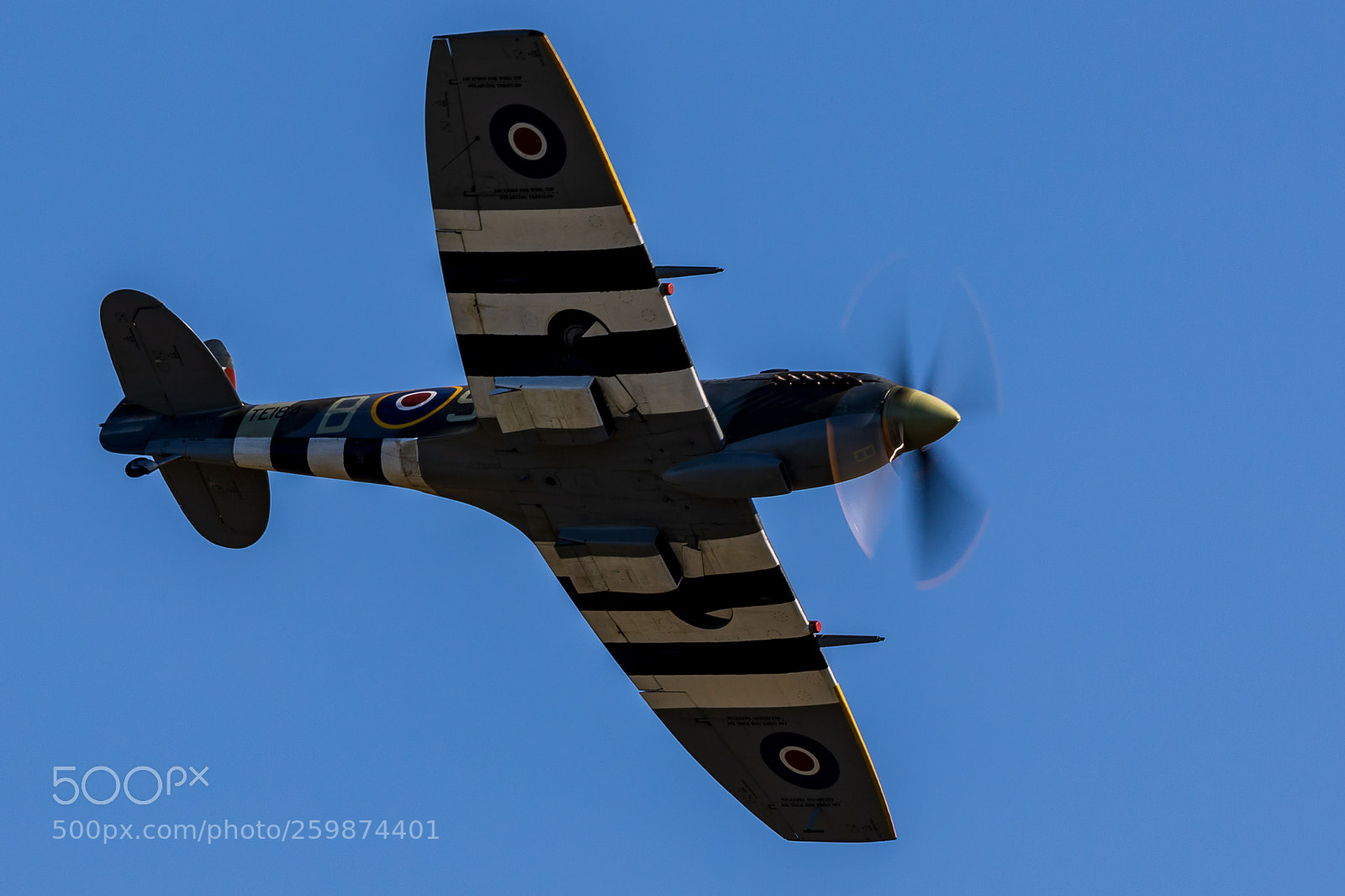 Canon EOS 7D Mark II sample photo. Spitfire photography