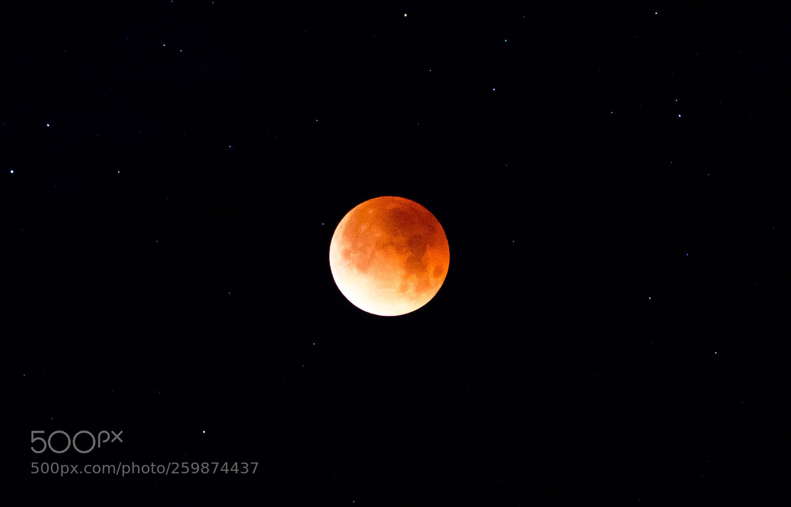 Canon EOS 6D sample photo. "rare lunar eclipse" photography