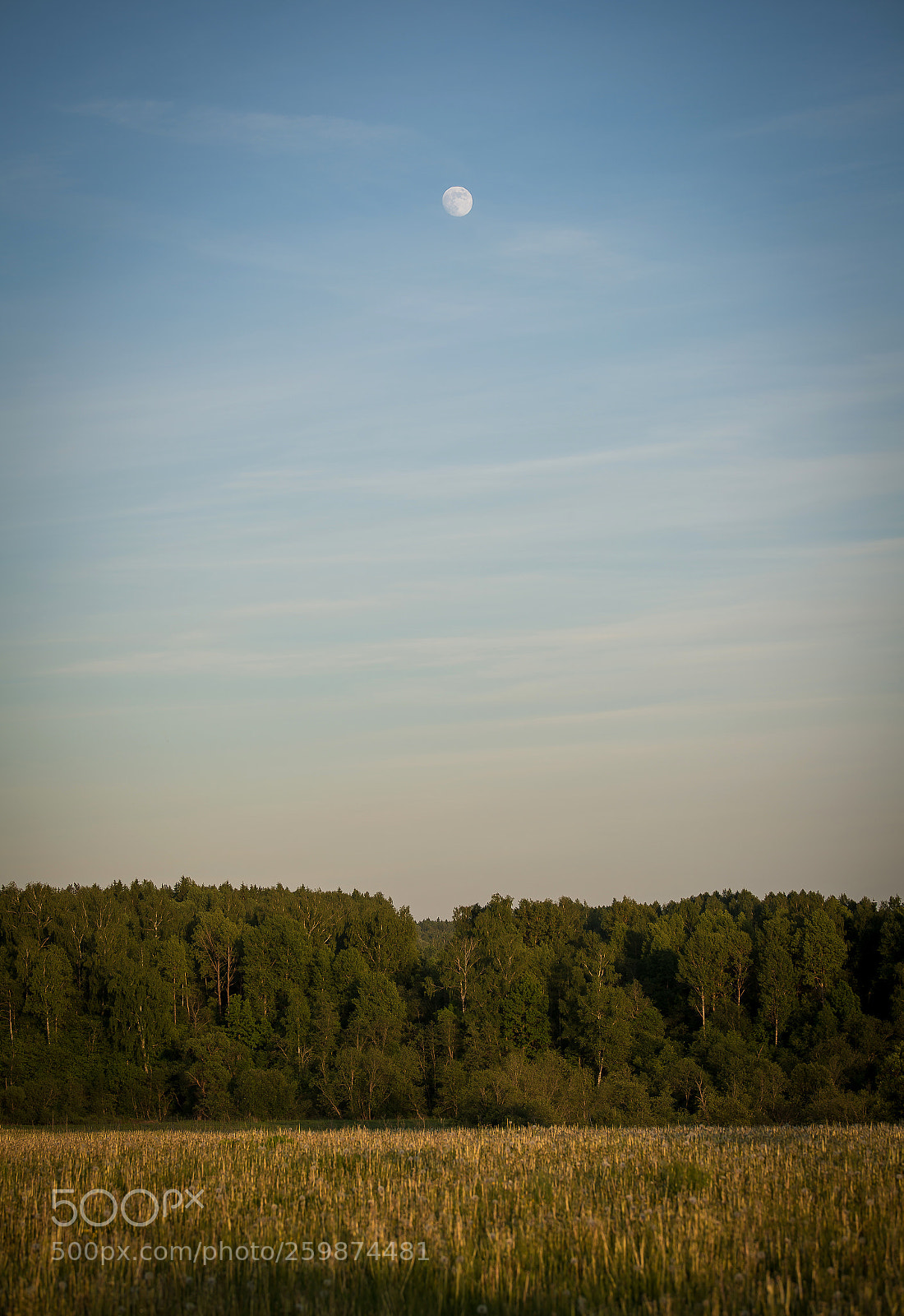 Nikon D800 sample photo. Shevardino photography