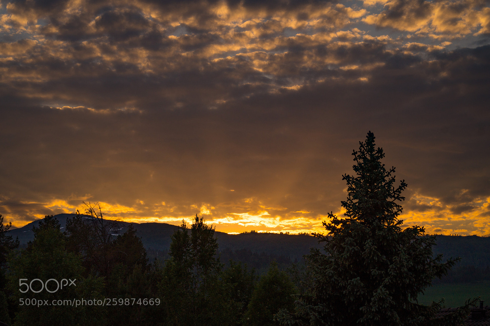 Sony SLT-A58 sample photo. Rays of light photography