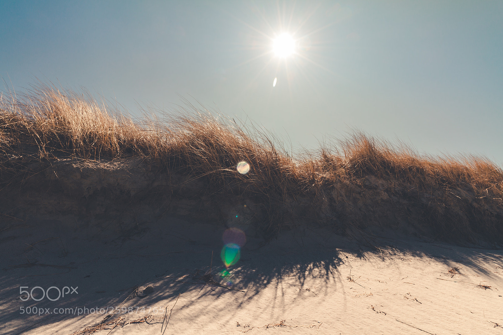 Canon EOS 60D sample photo. Img photography