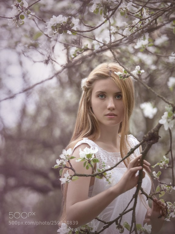 Canon EOS 5D Mark II sample photo. Kadrowane photography