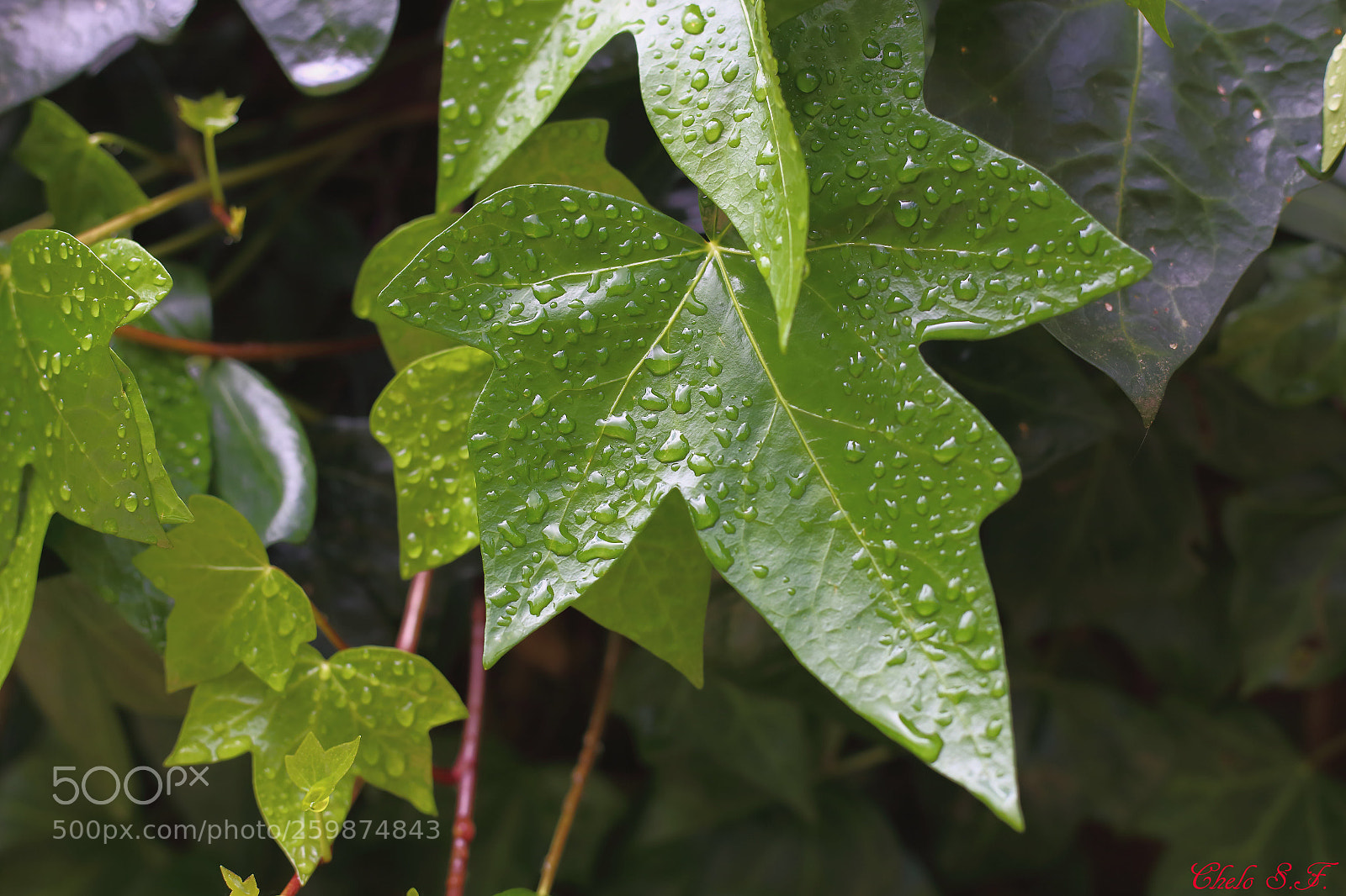 Canon EOS 6D sample photo. Untitled photography
