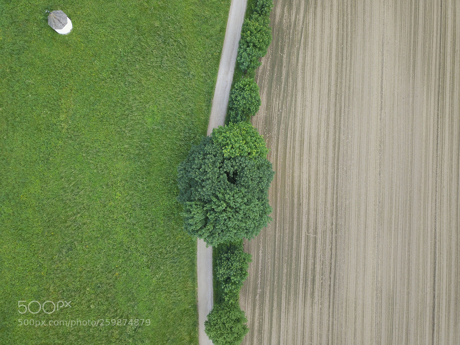 DJI FC220 sample photo. Untitled photography