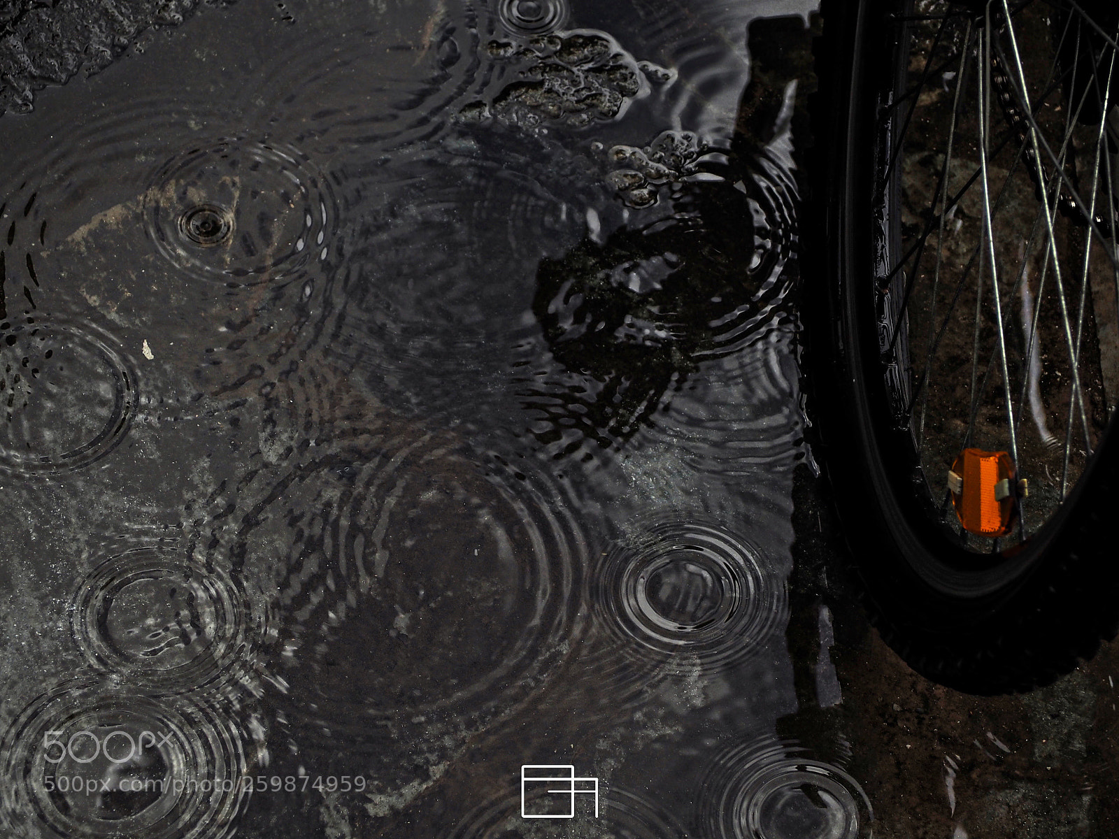 Olympus OM-D E-M10 sample photo. Rain... photography
