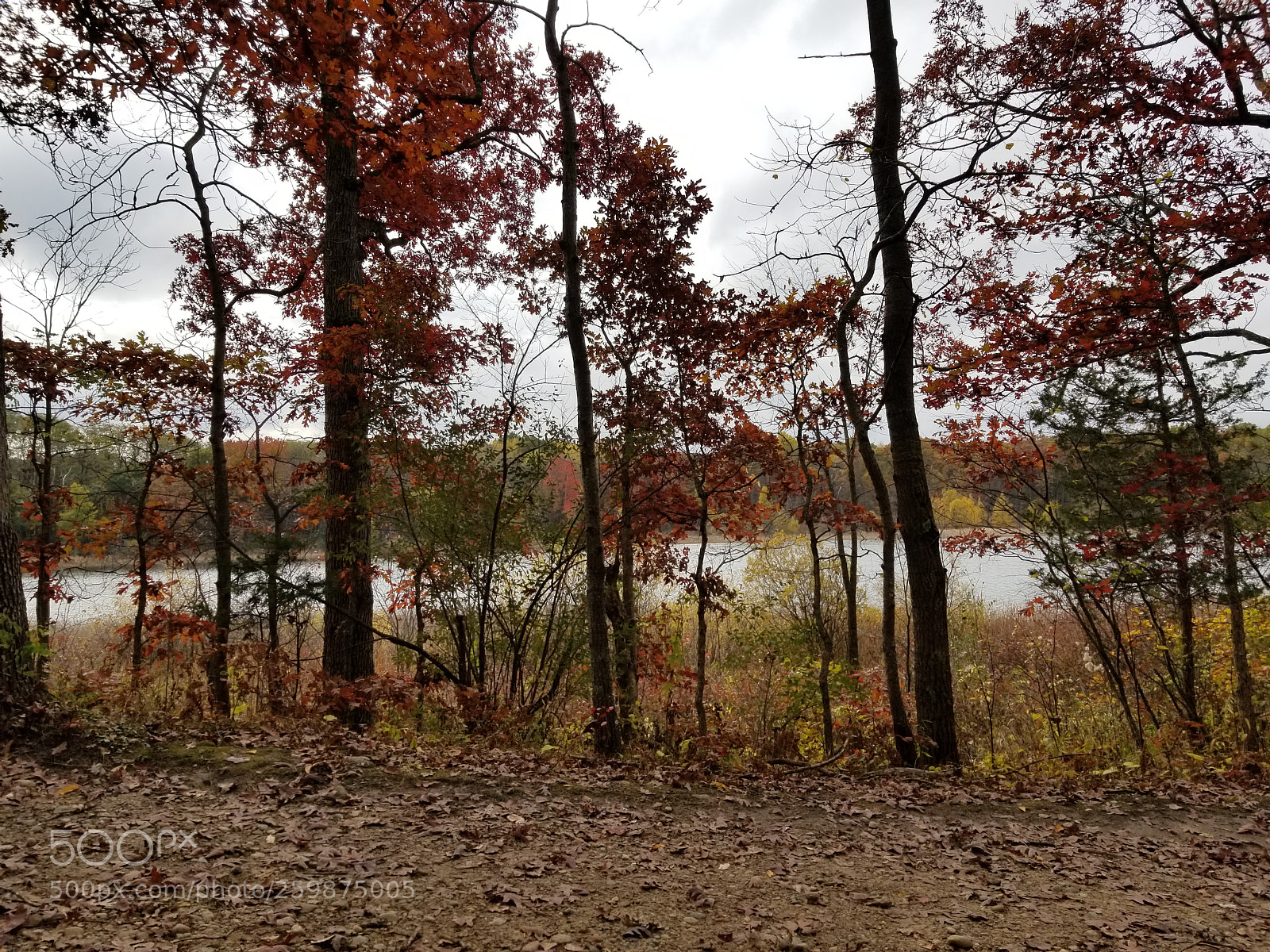 Samsung Galaxy S8 sample photo. Autumn hike photography