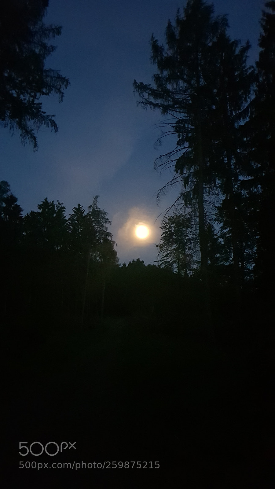 Samsung Galaxy S8 sample photo. Untitled photography