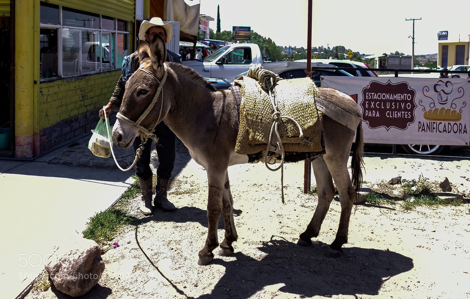 Sony DSC-RX100M5 sample photo. Cuando no tienes carro photography