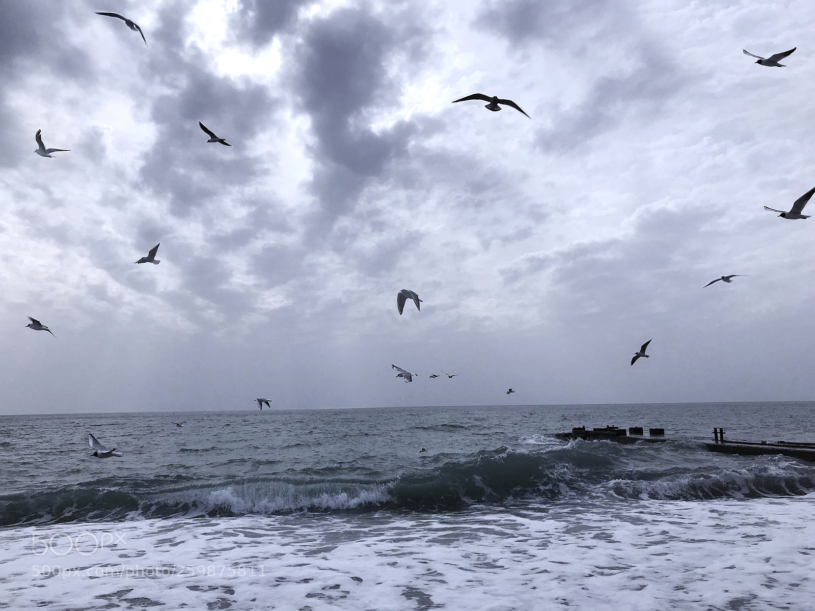 Apple iPhone 7 sample photo. Breath photography