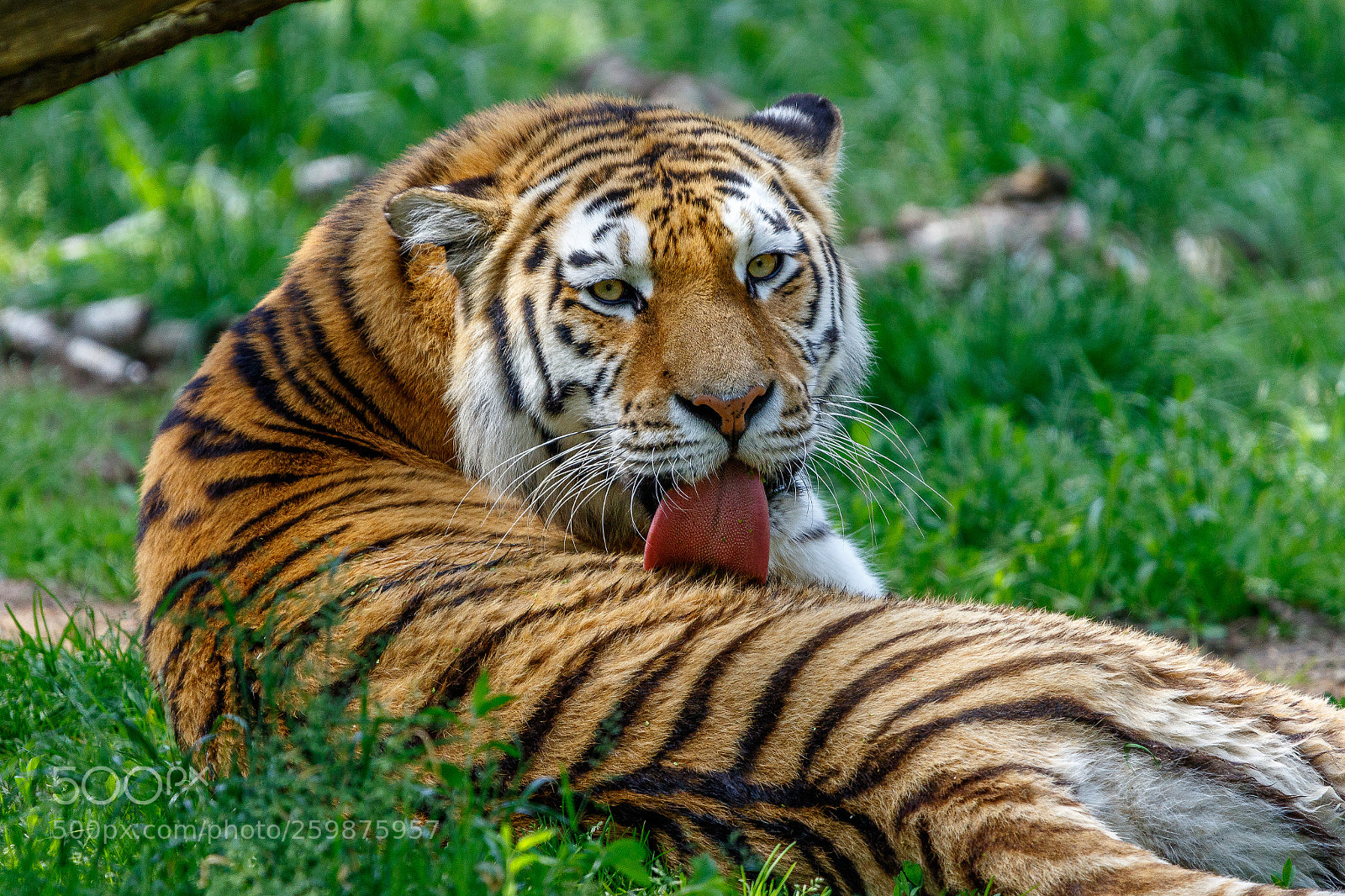 Canon EOS 7D Mark II sample photo. Zoo duisburg photography