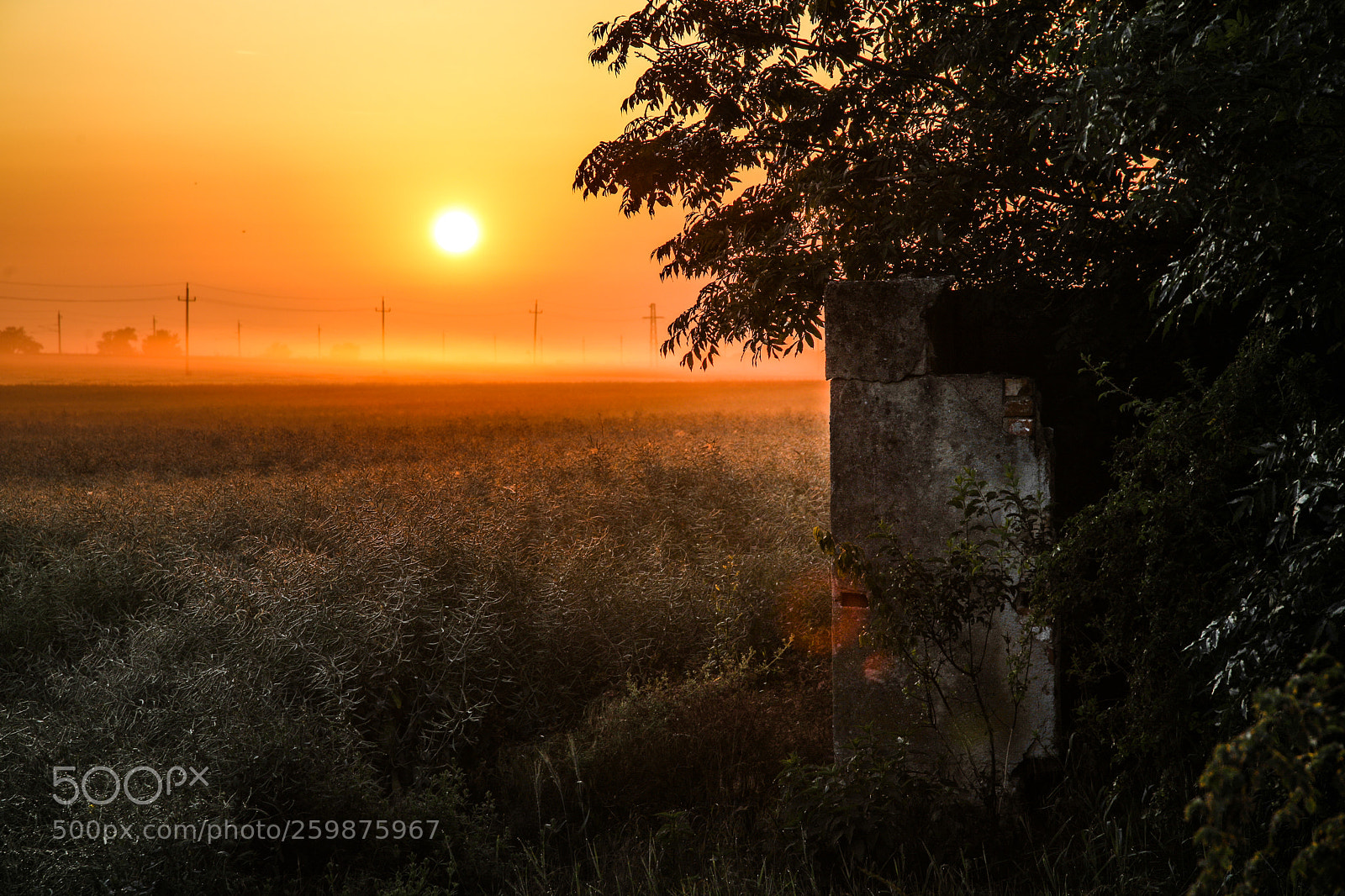 Canon EOS 5D Mark IV sample photo. Sunrise photography