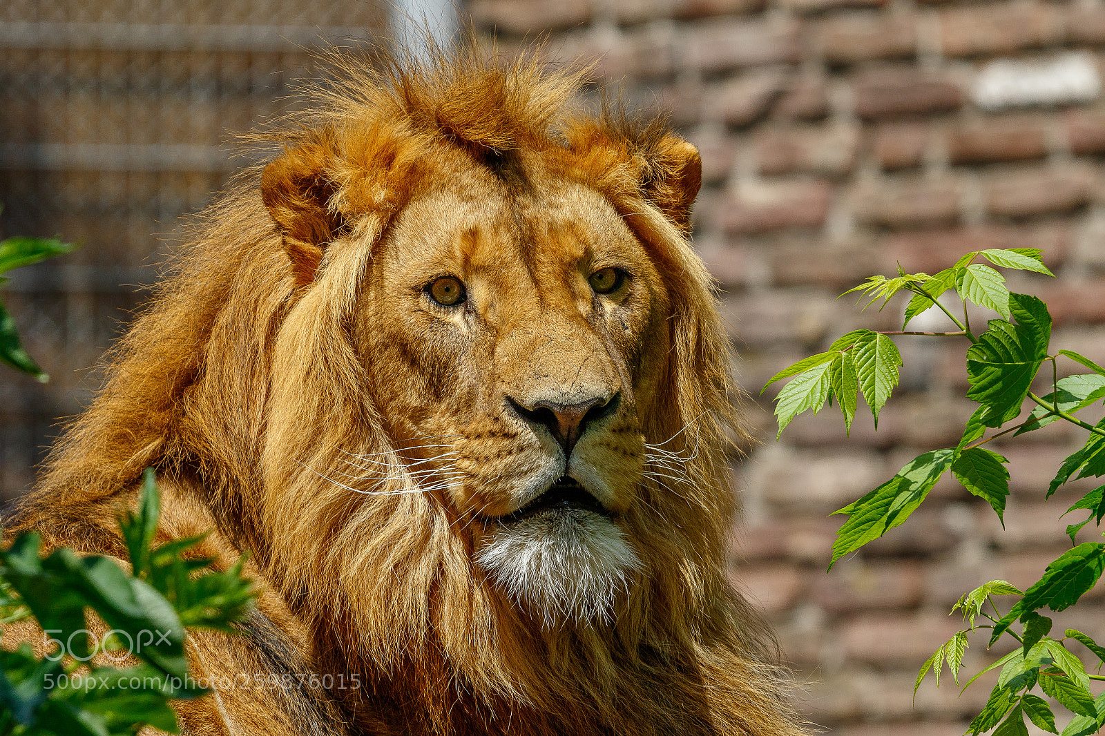 Canon EOS 7D Mark II sample photo. Zoo duisburg photography