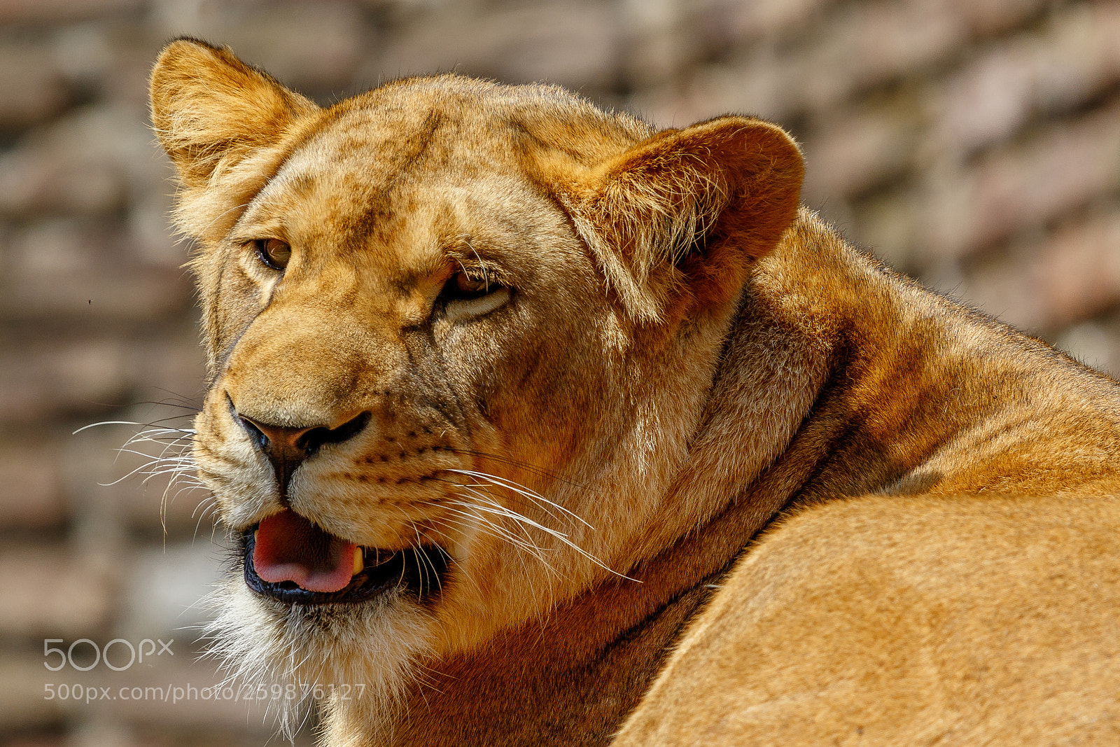 Canon EOS 7D Mark II sample photo. Zoo duisburg photography