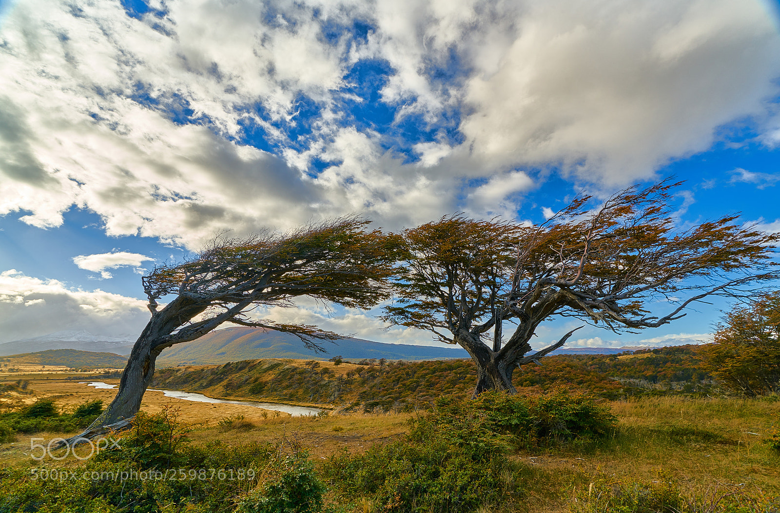 Sony a7R II sample photo. Stringed from the constant photography
