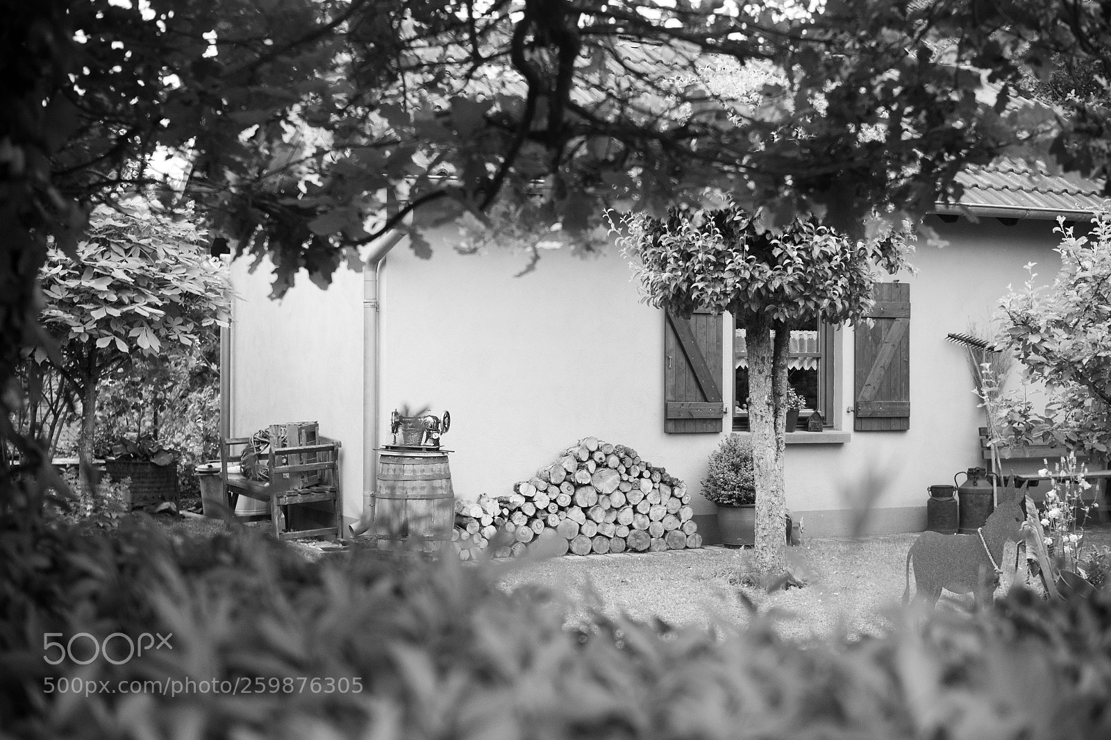 Fujifilm X-E1 sample photo. Lives here a taylor? photography
