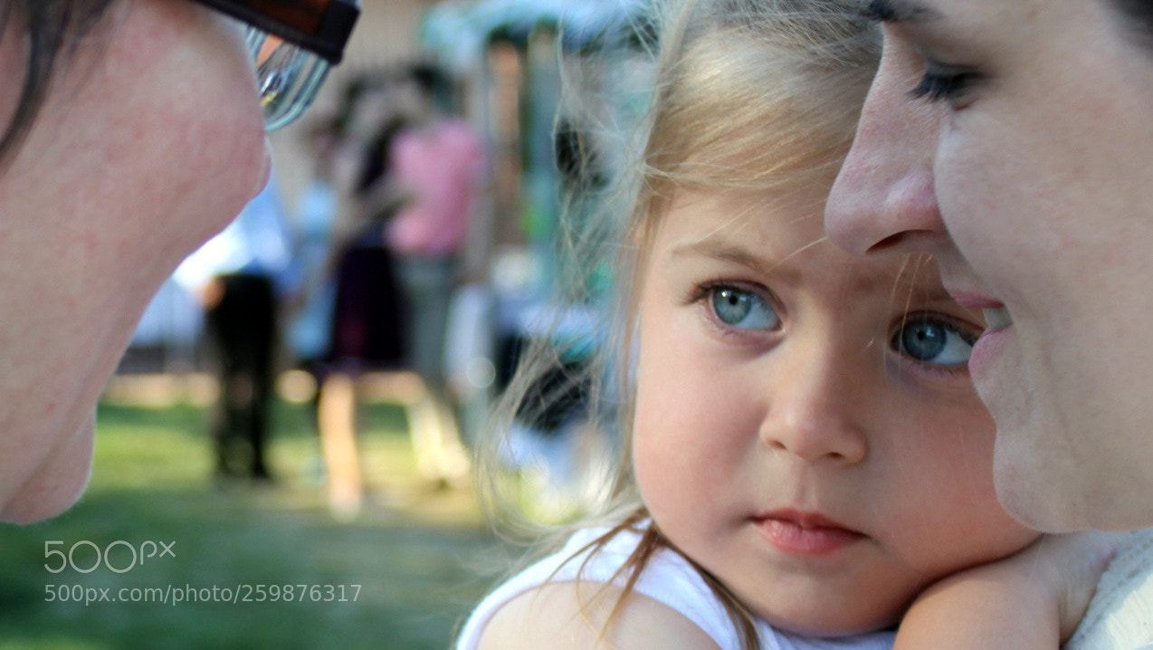 Canon EOS 600D (Rebel EOS T3i / EOS Kiss X5) sample photo. Suspect photography