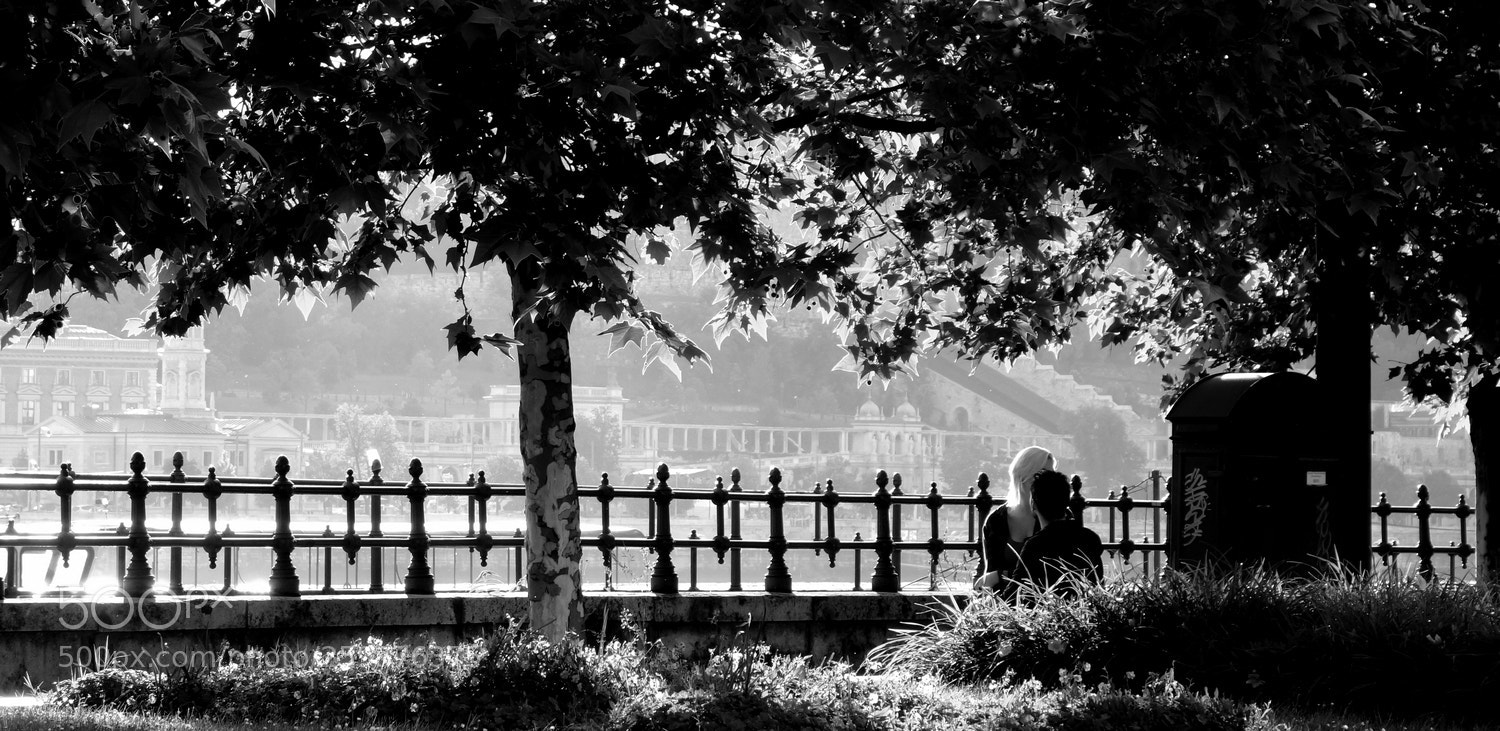 Sony Cyber-shot DSC-RX100 sample photo. Buda lovers photography
