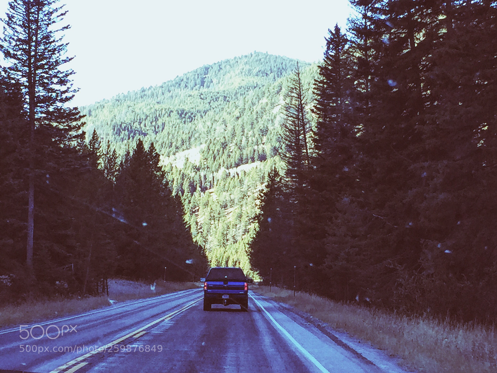 Apple iPhone 6 sample photo. Processed with vsco with photography