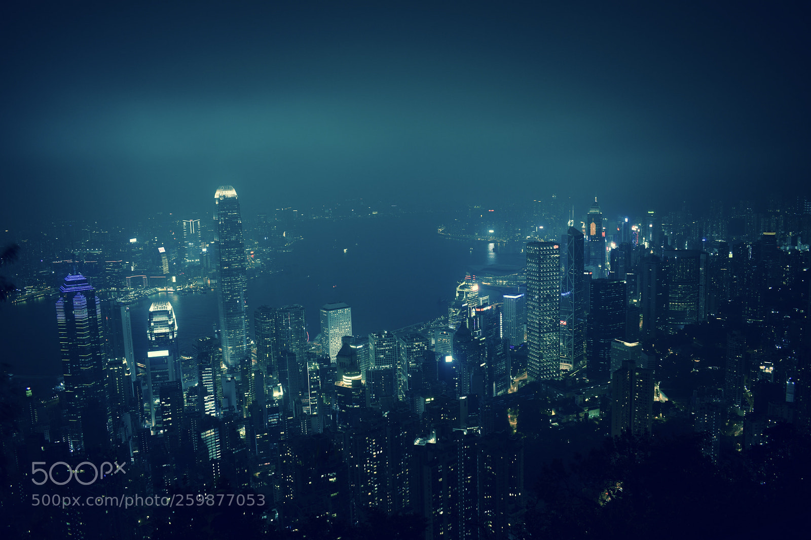 Nikon D5600 sample photo. Bule hong kong photography