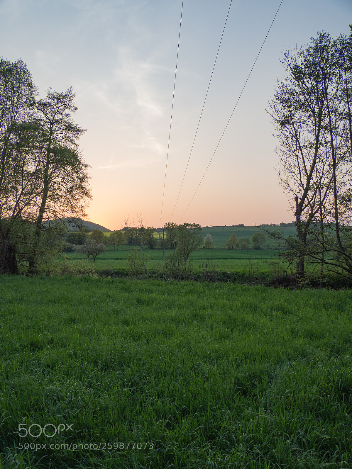 Olympus OM-D E-M10 II sample photo. Countryside dusk photography