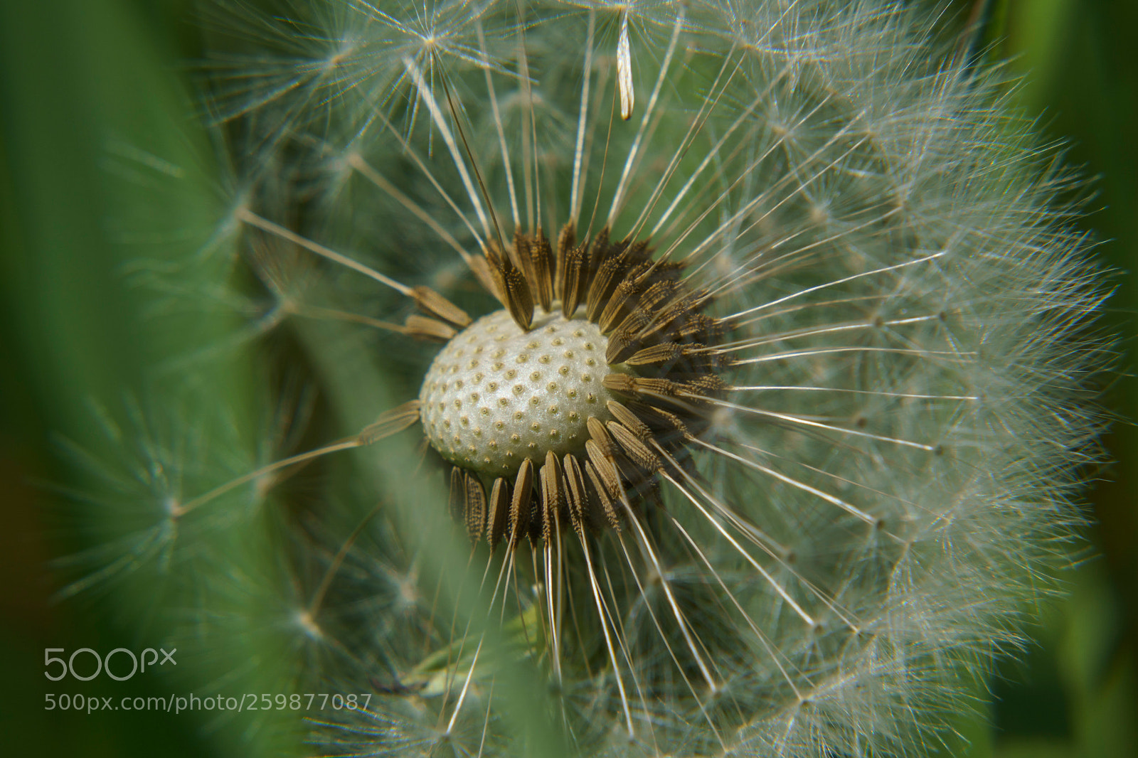 Sony a6000 sample photo. 20180528dsc09202_1.jpg photography