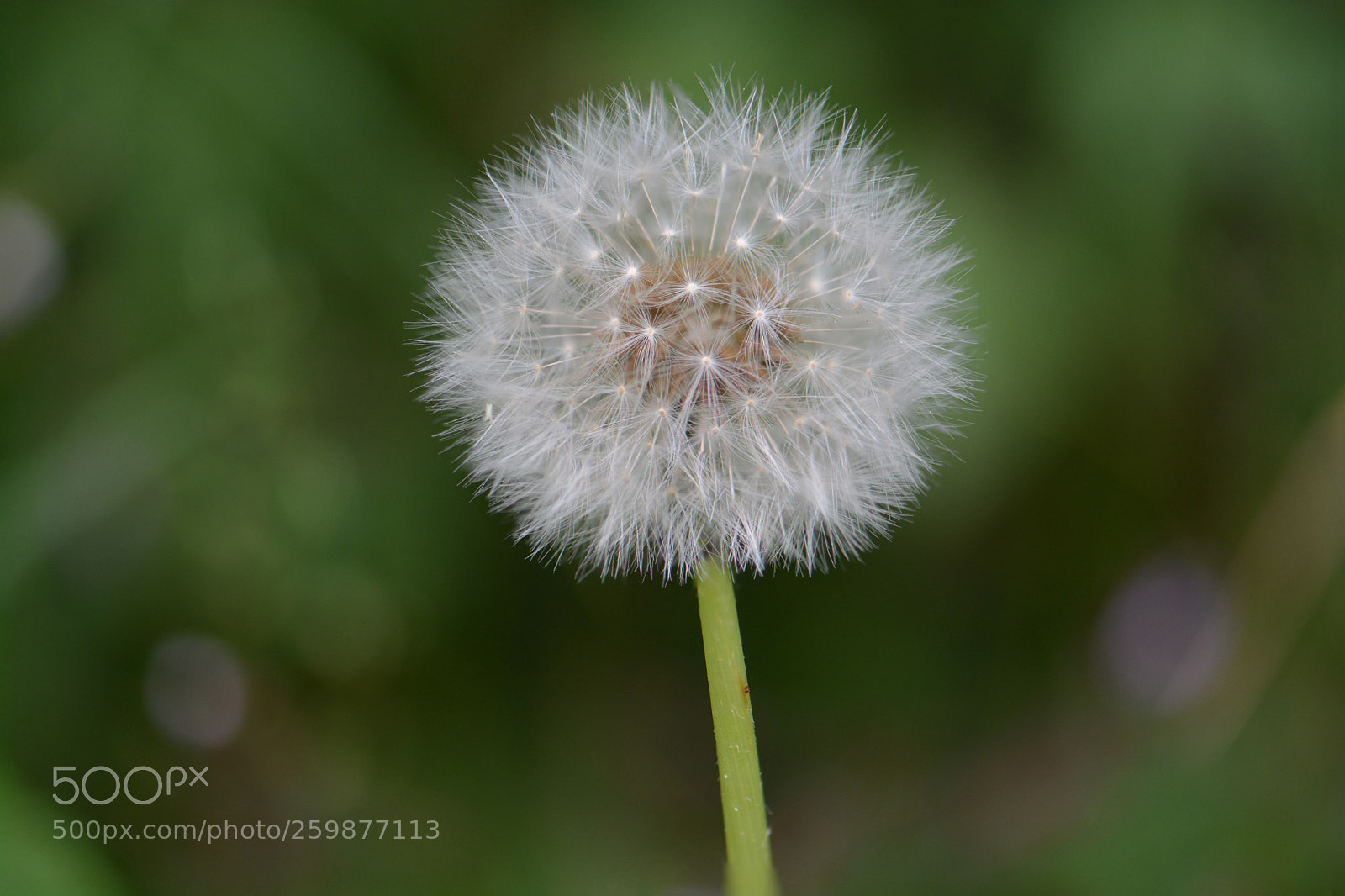 Nikon D7100 sample photo. +++ photography