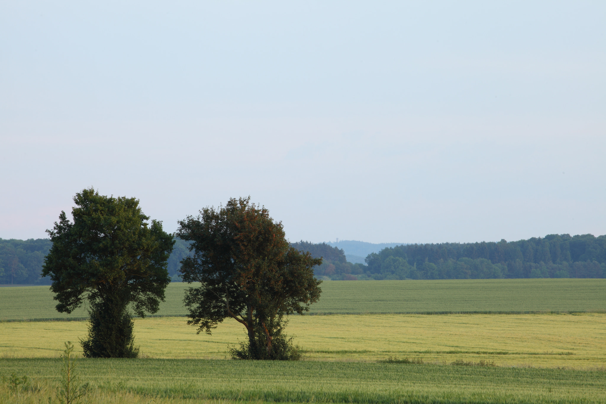 Canon EF 70-200mm F4L USM sample photo. Sunset light photography
