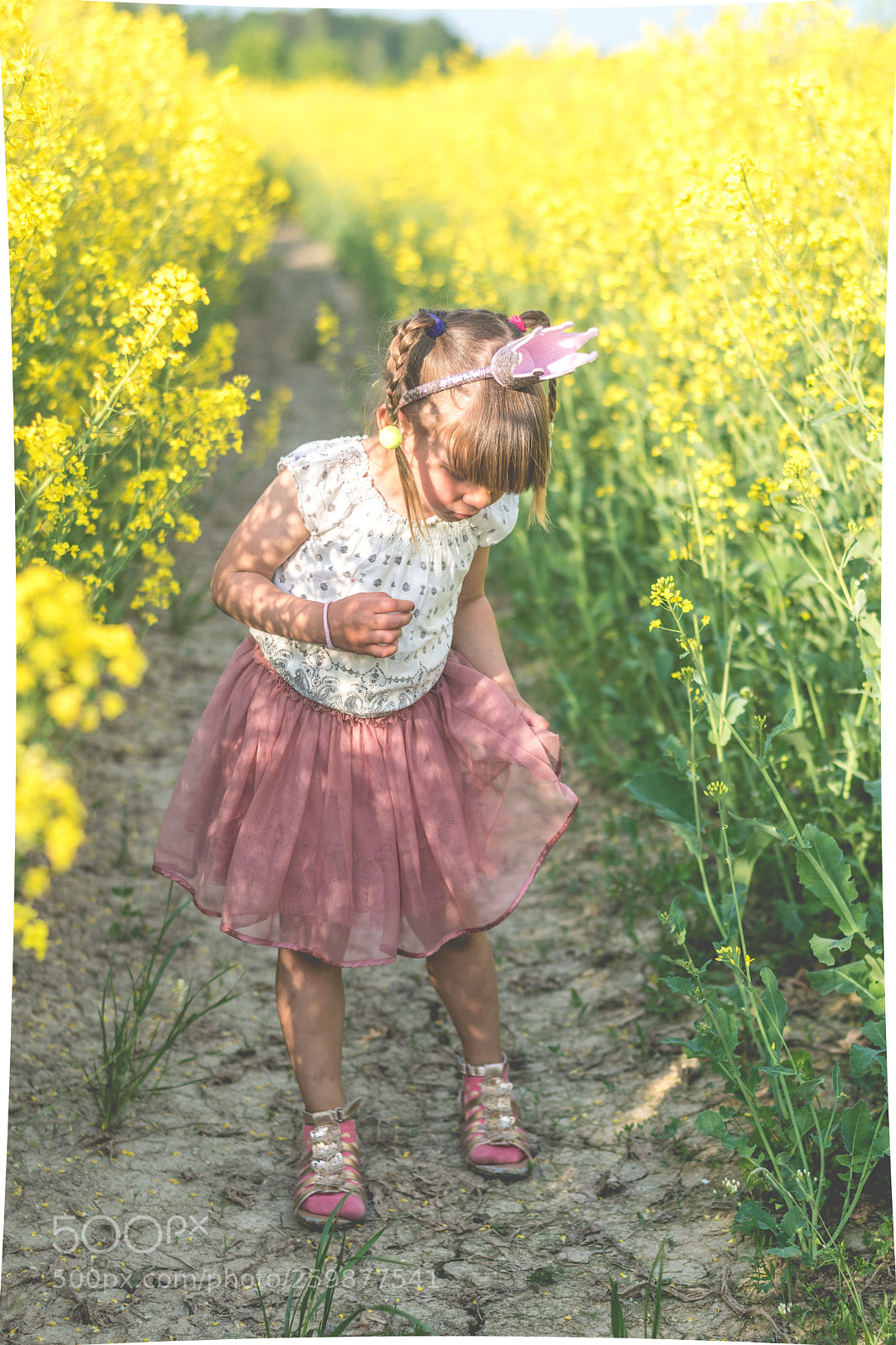 Nikon D5500 sample photo. Princess photography