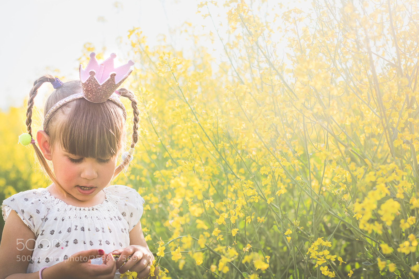 Nikon D5500 sample photo. Princess photography