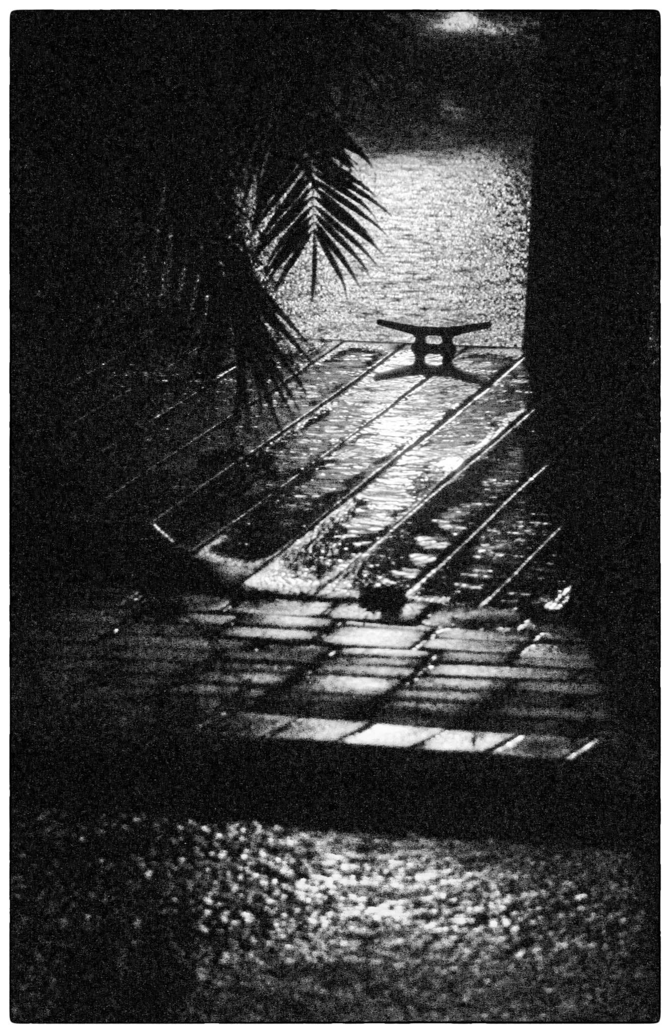 Canon EOS 100D (EOS Rebel SL1 / EOS Kiss X7) sample photo. Dark and stormy night - b&w photography