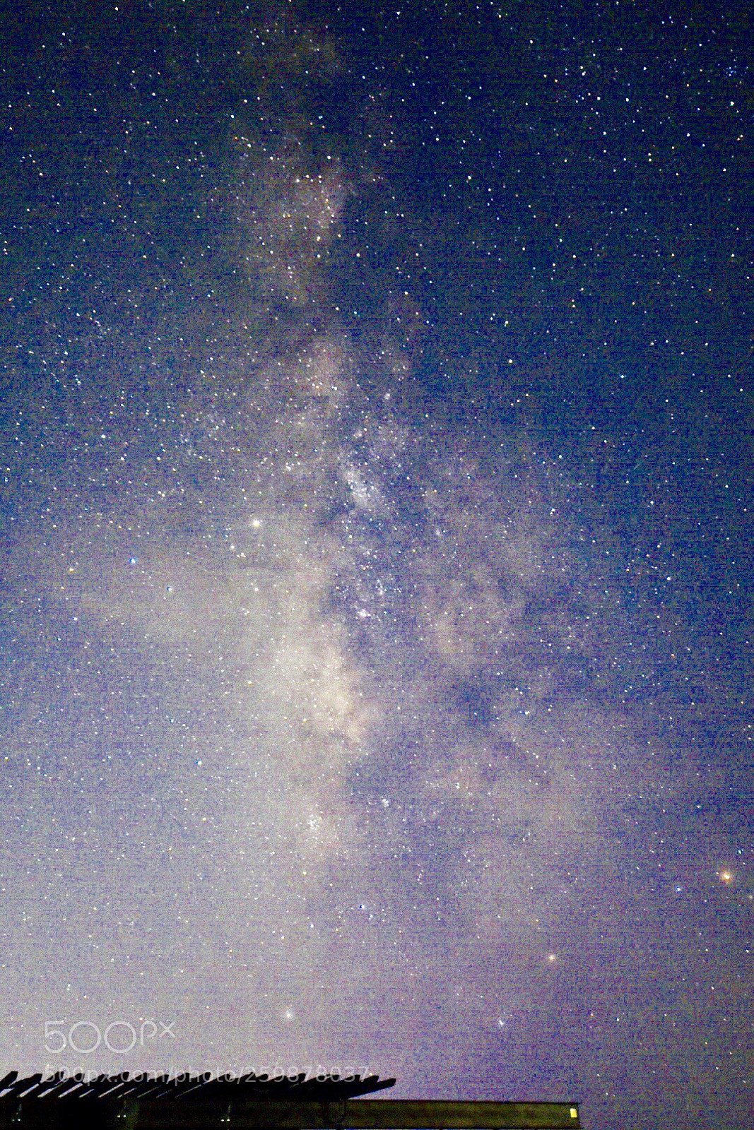 Nikon D3400 sample photo. Untitled photography