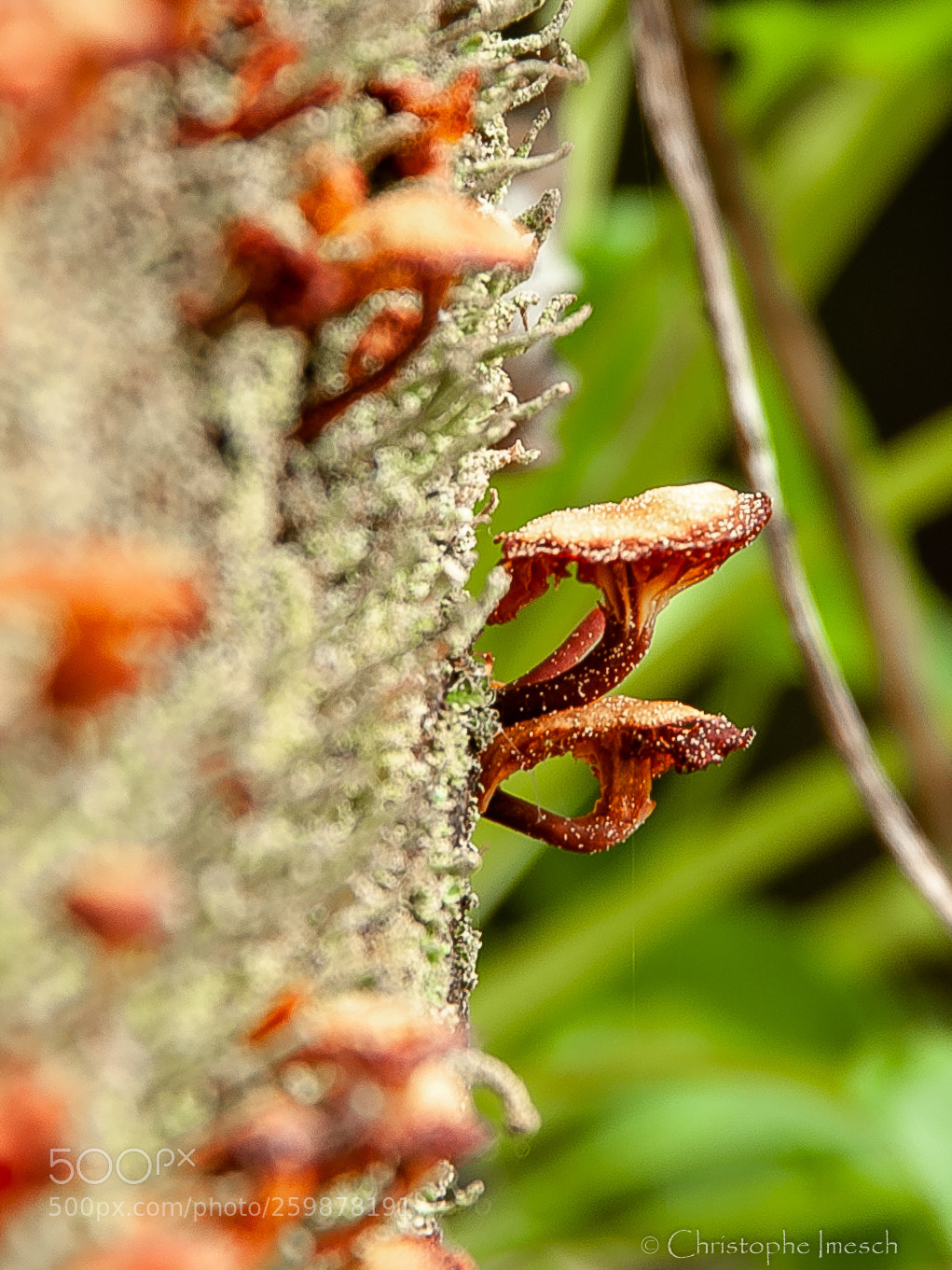 Nikon D700 sample photo. Observations photography