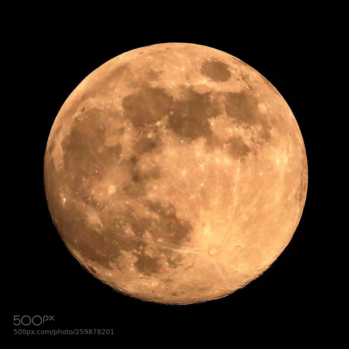 Canon EOS 5D Mark IV sample photo. Falscher blutmond photography