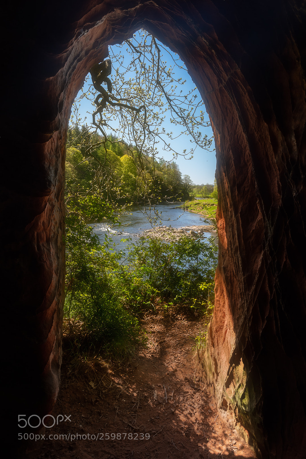 Nikon D810 sample photo. A glimpse of eden photography