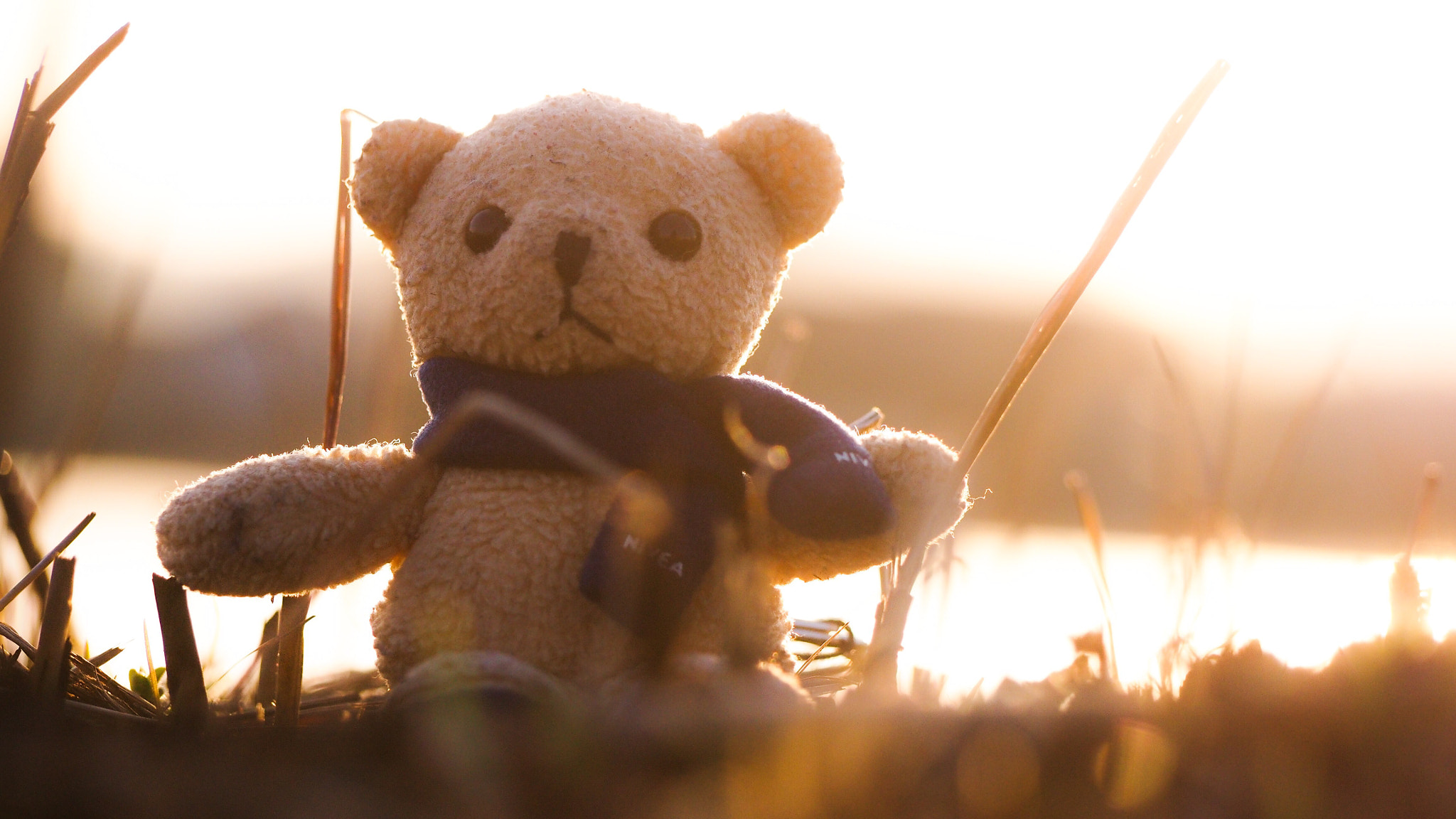 Olympus PEN E-PL5 sample photo. One fine autumn  photography