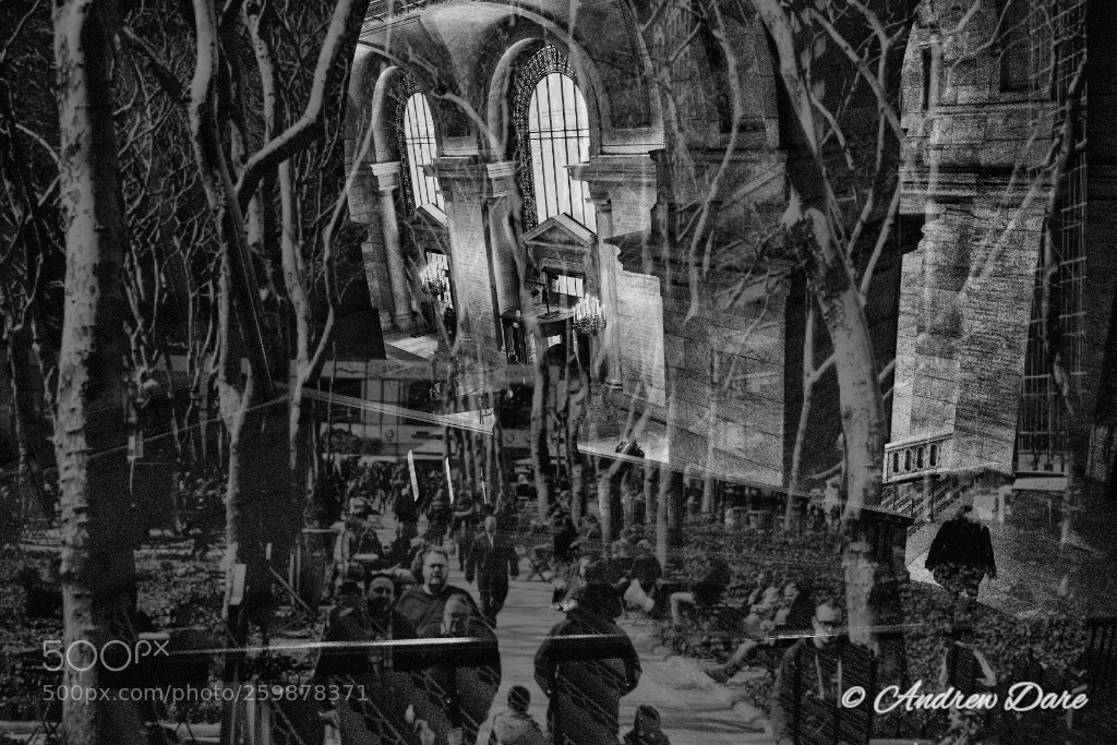 Nikon D810 sample photo. Double exposure photography