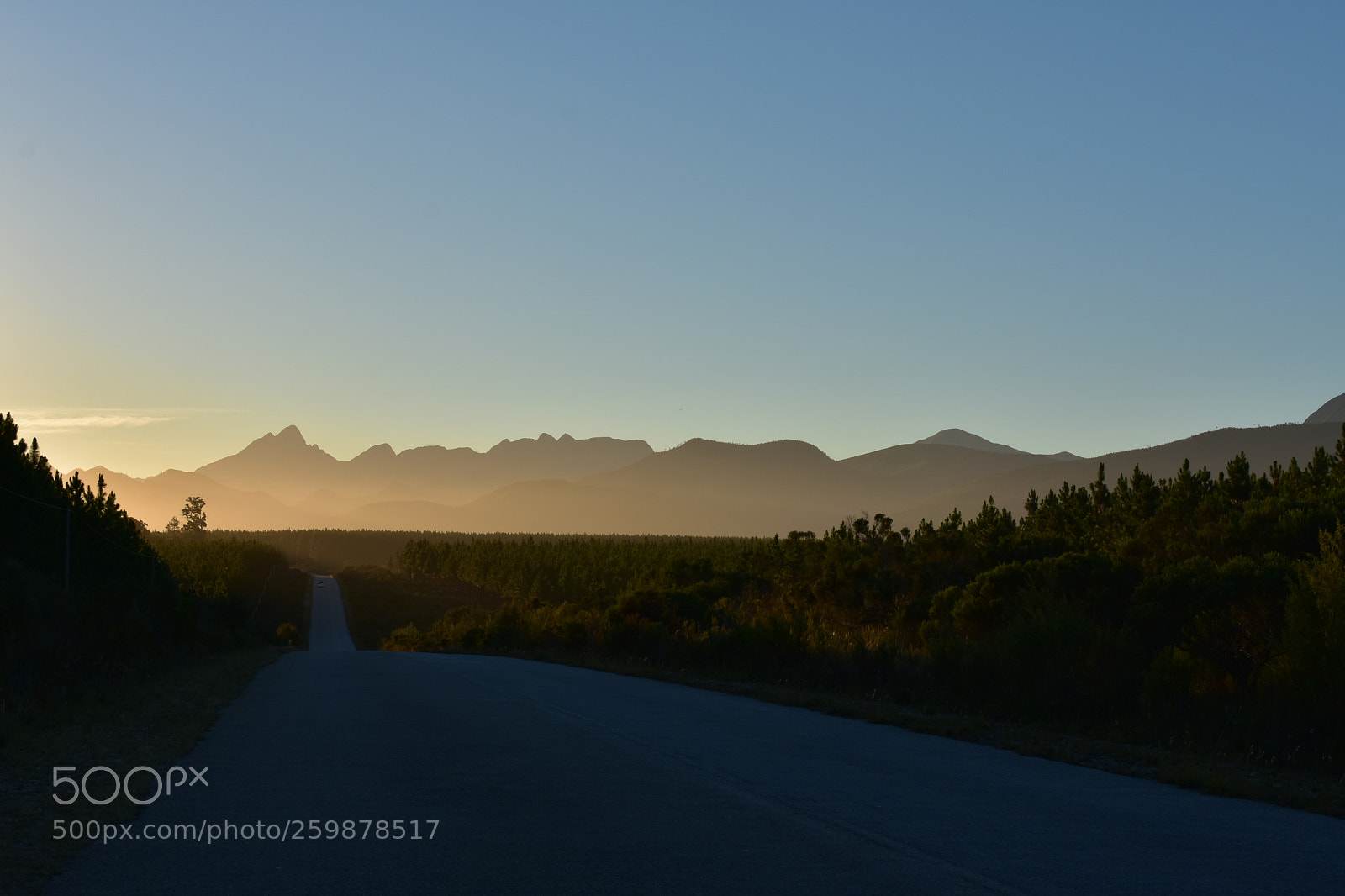 Nikon D3400 sample photo. The road to the photography