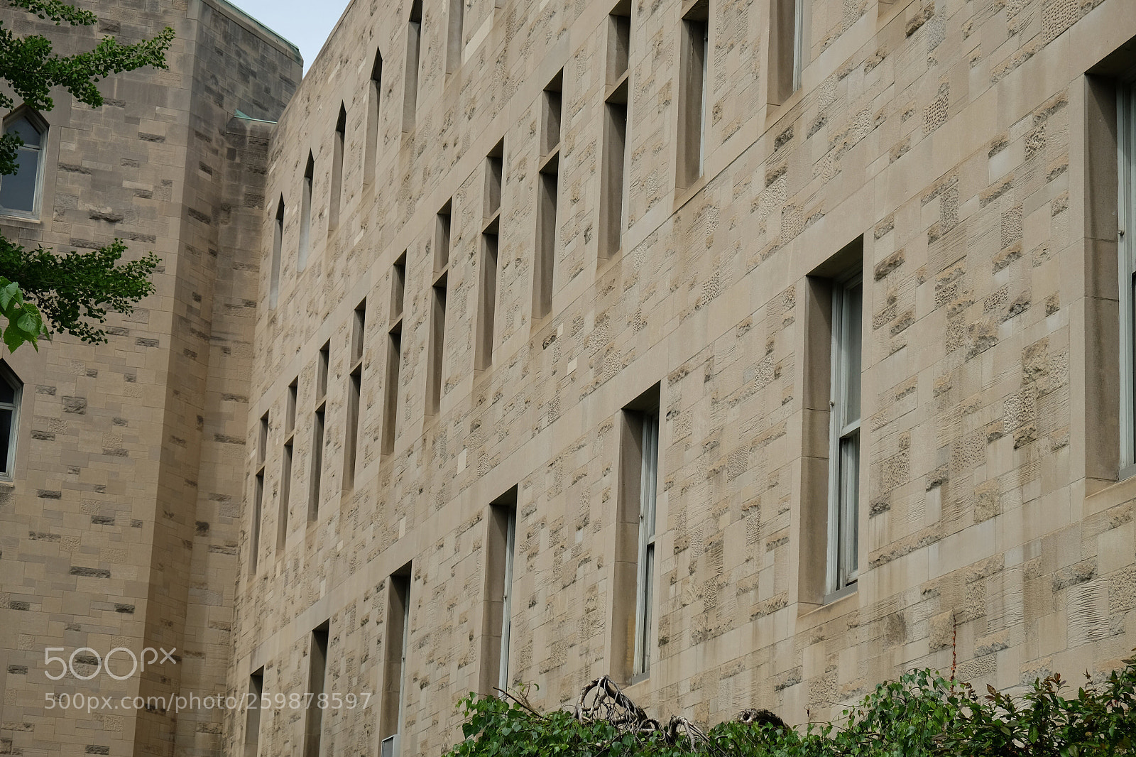 Fujifilm X-T10 sample photo. University of toronto building  photography