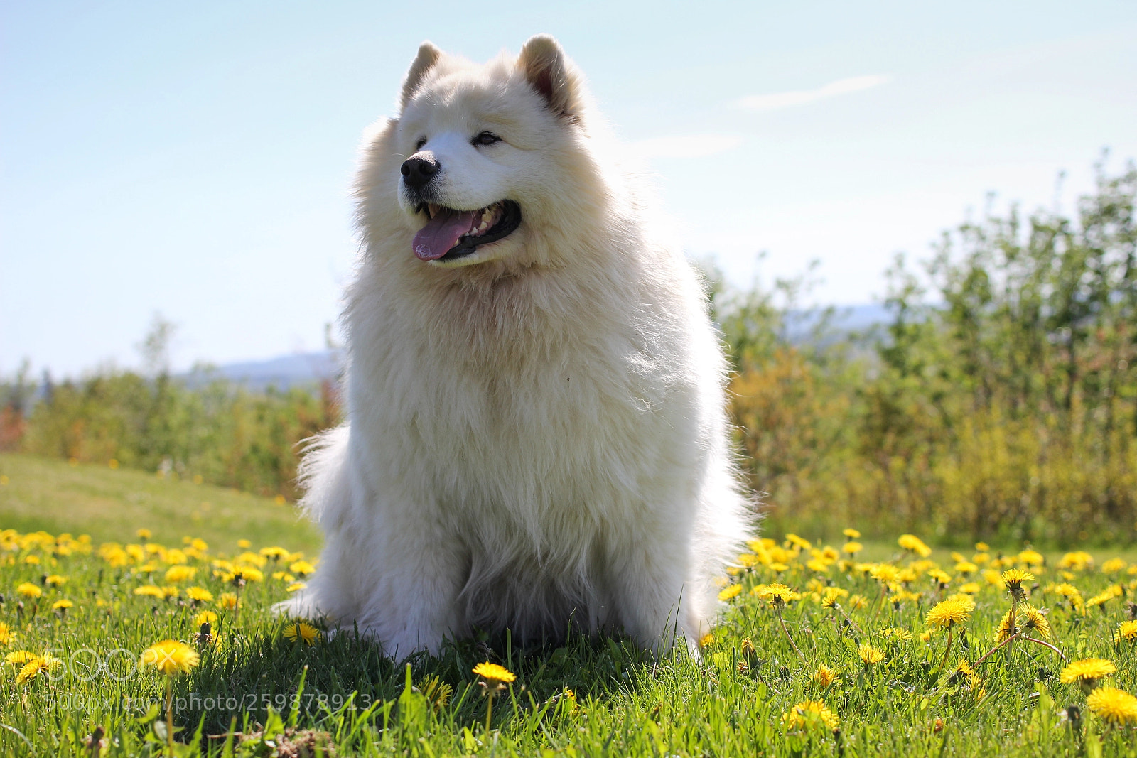 Canon EOS 60D sample photo. Taylor photography