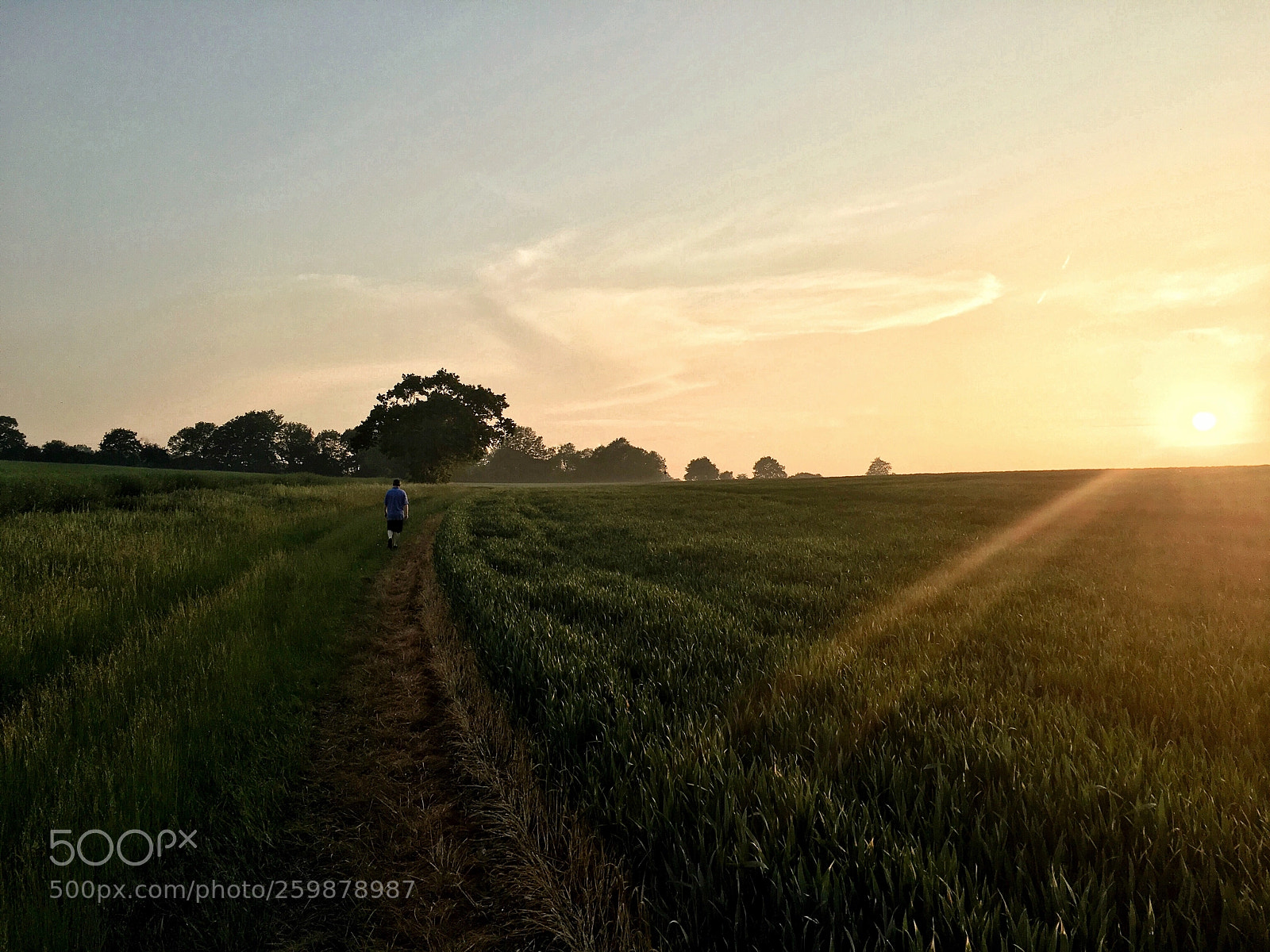 Apple iPhone 6s sample photo. Sunset boulevard photography